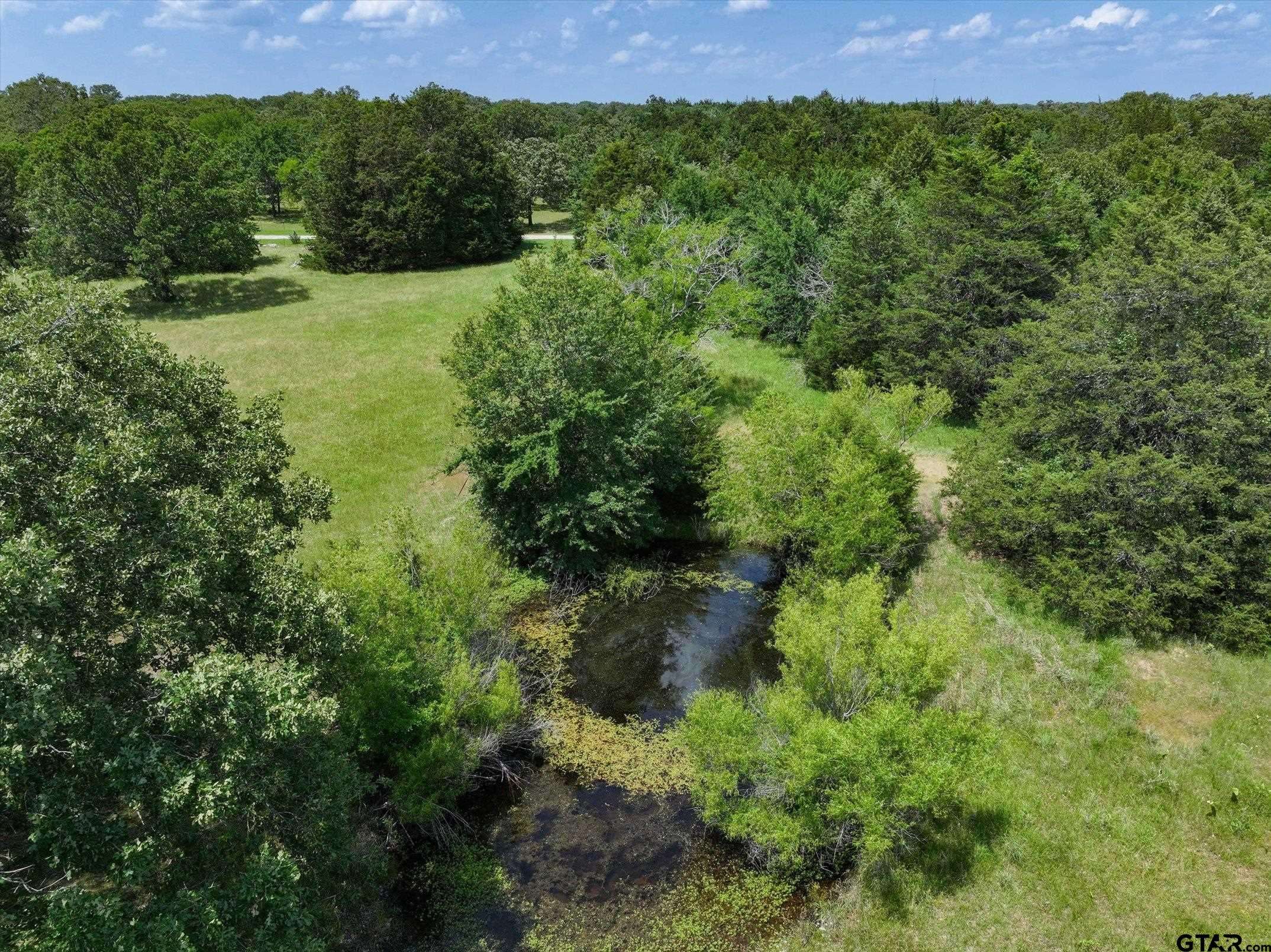 Emory, TX 75440,978 RS County Road 1308