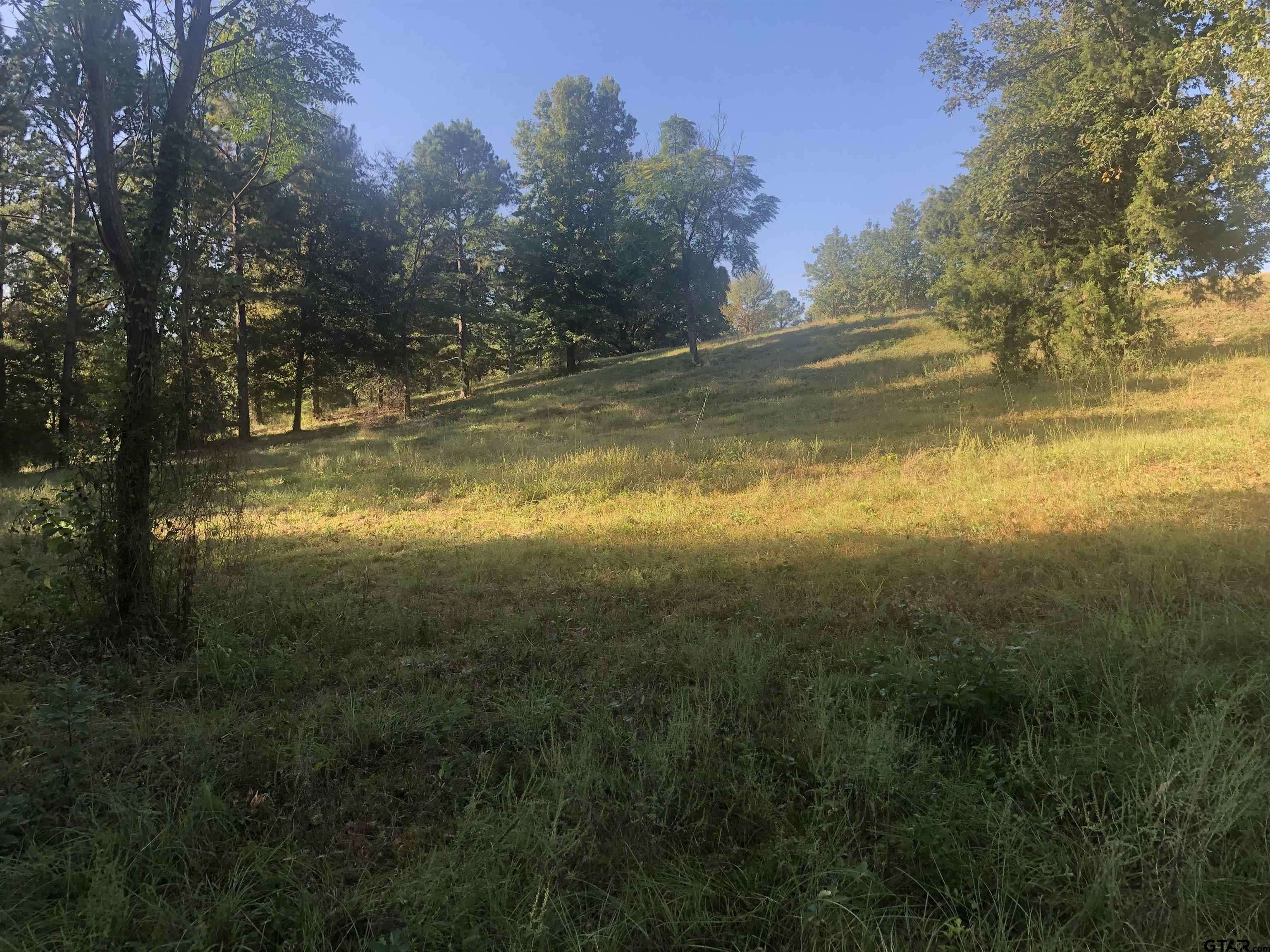 Lindale, TX 75771,TBD Hickory Oak Dr