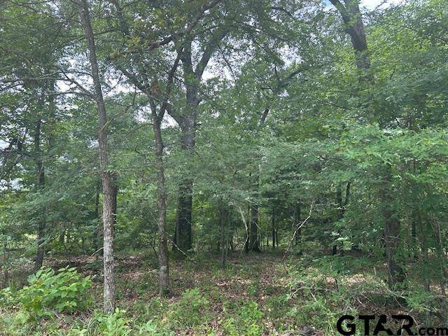 Grand Saline, TX 75140,TBD VZCR 1712