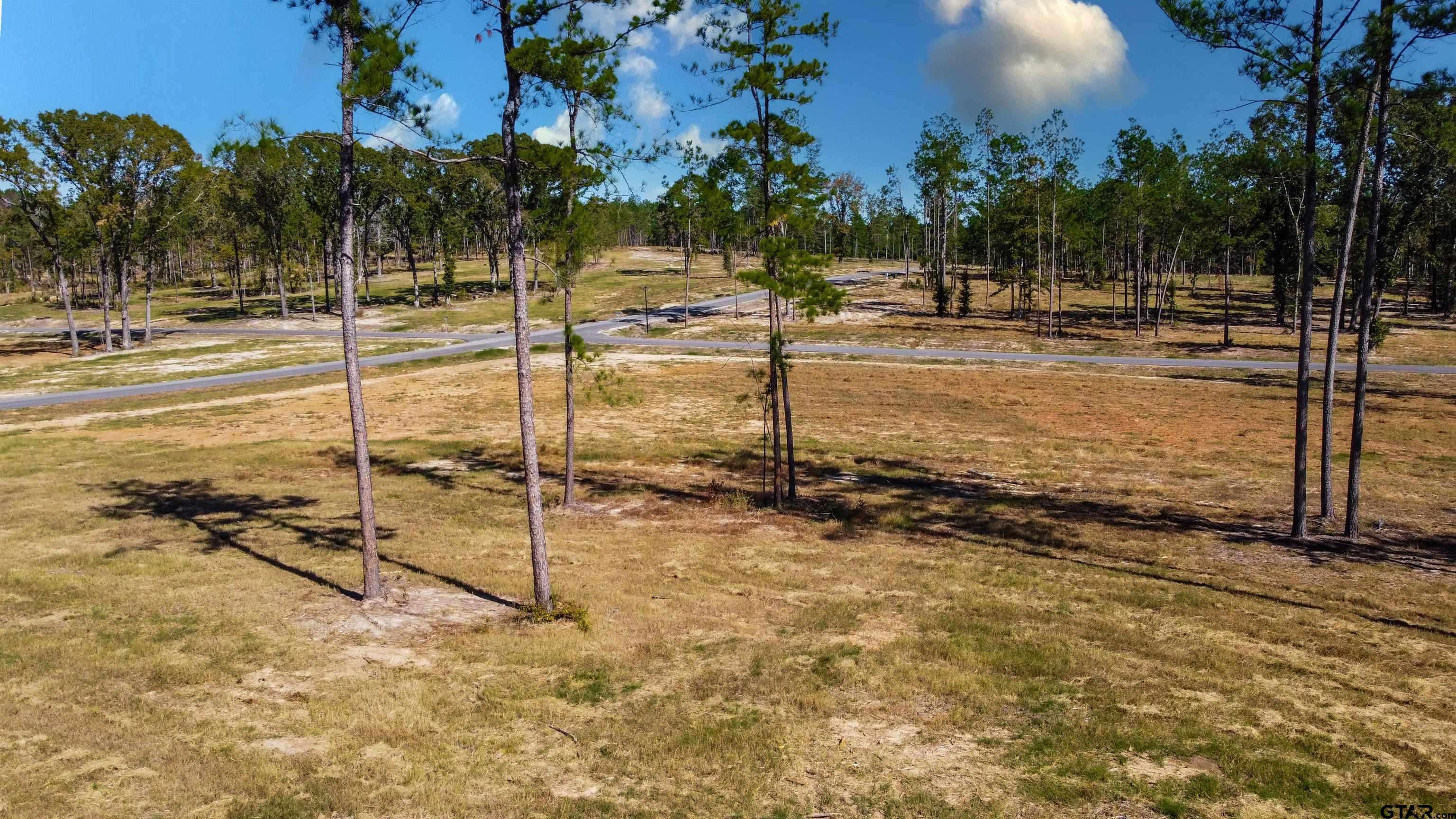 Flint, TX 75762,15756 Aniston Ln - (LOT 23)