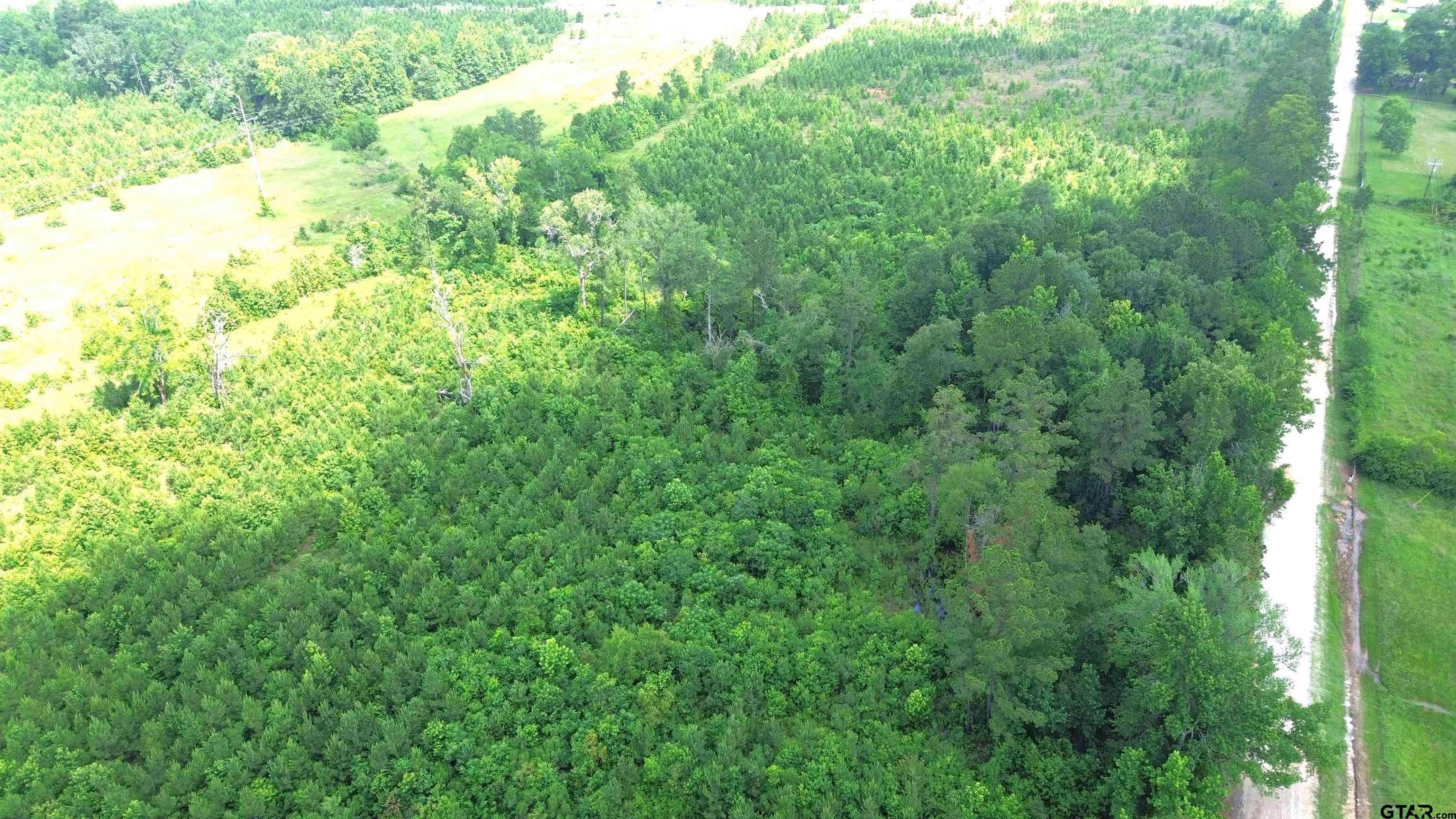Crockett, TX 75835,TBD CR 1830