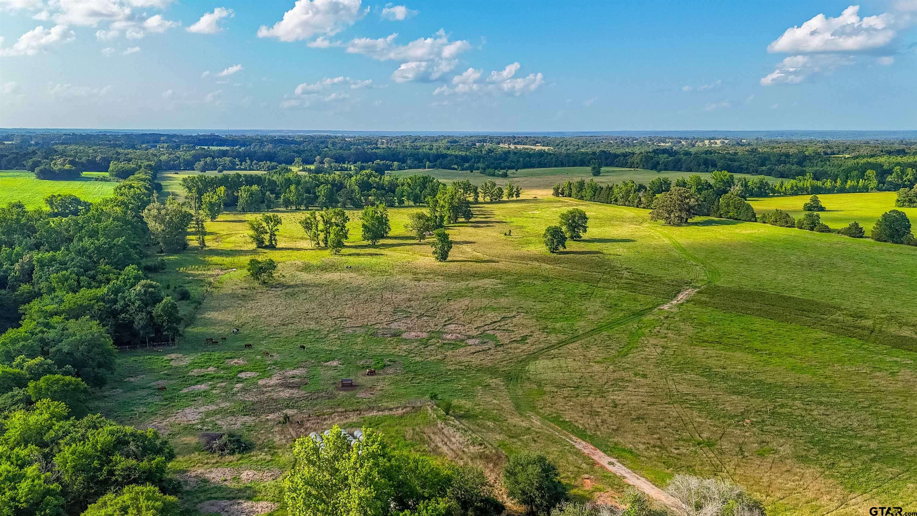 Pittsburg, TX 75686,912 CR 4110