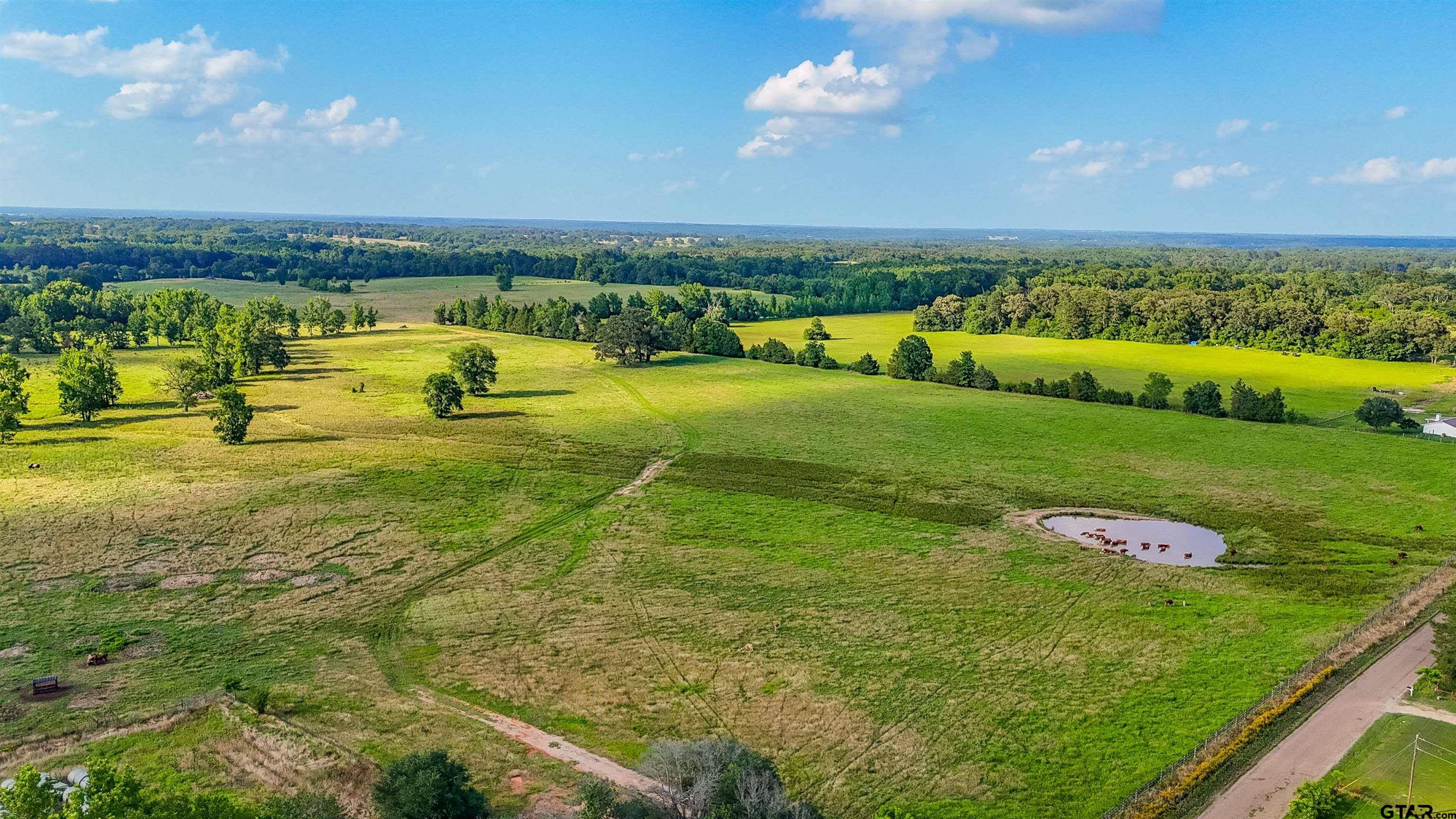 Pittsburg, TX 75686,912 CR 4110