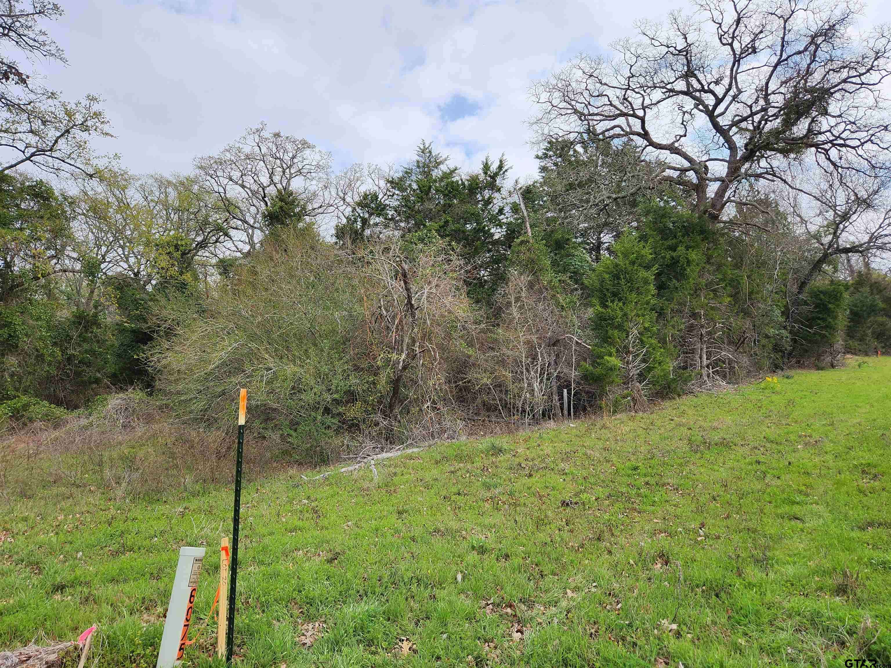 Mineola, TX 75773,24283 FM 1253