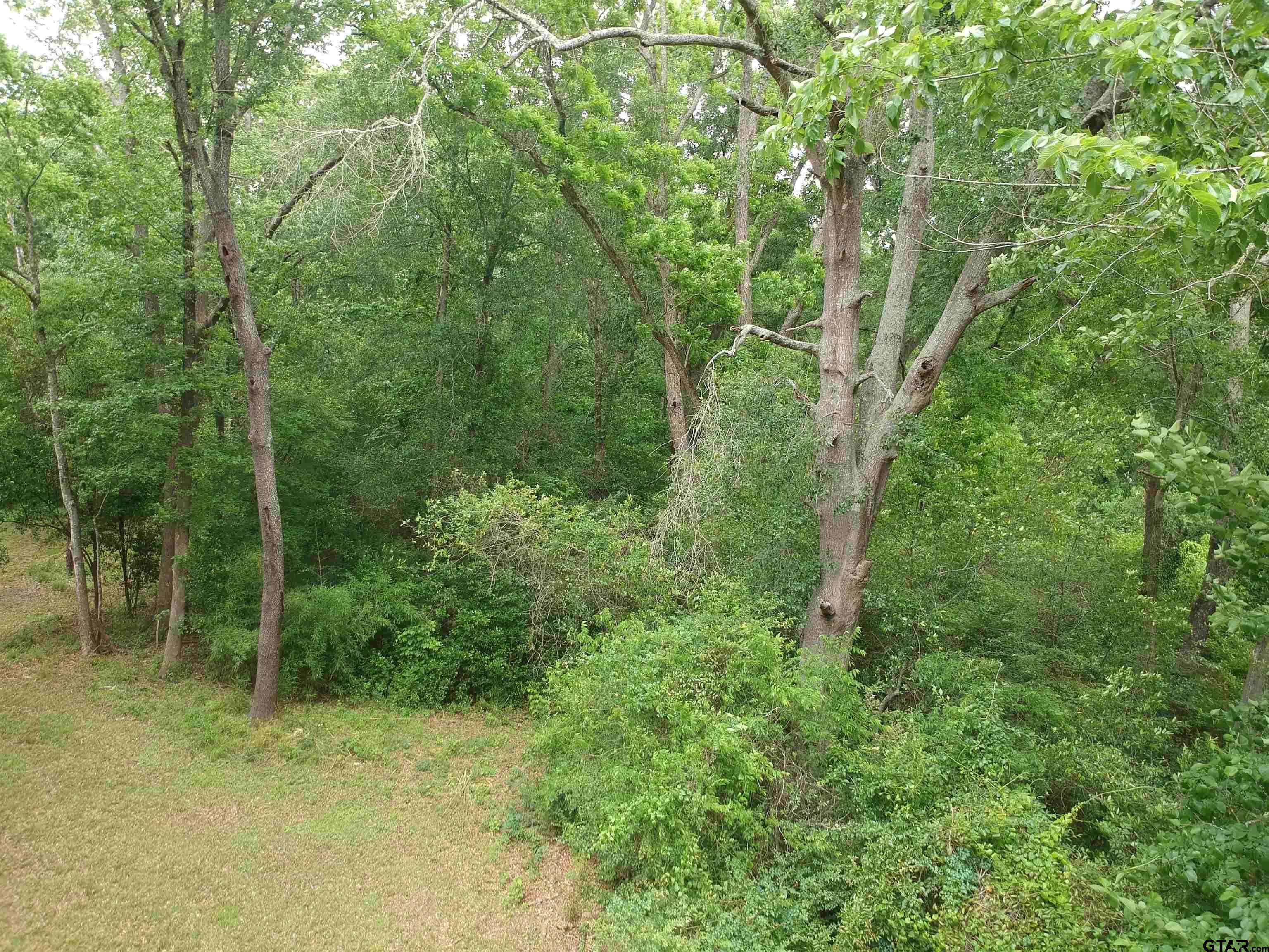 Jefferson, TX 75657,0 S Friou Street