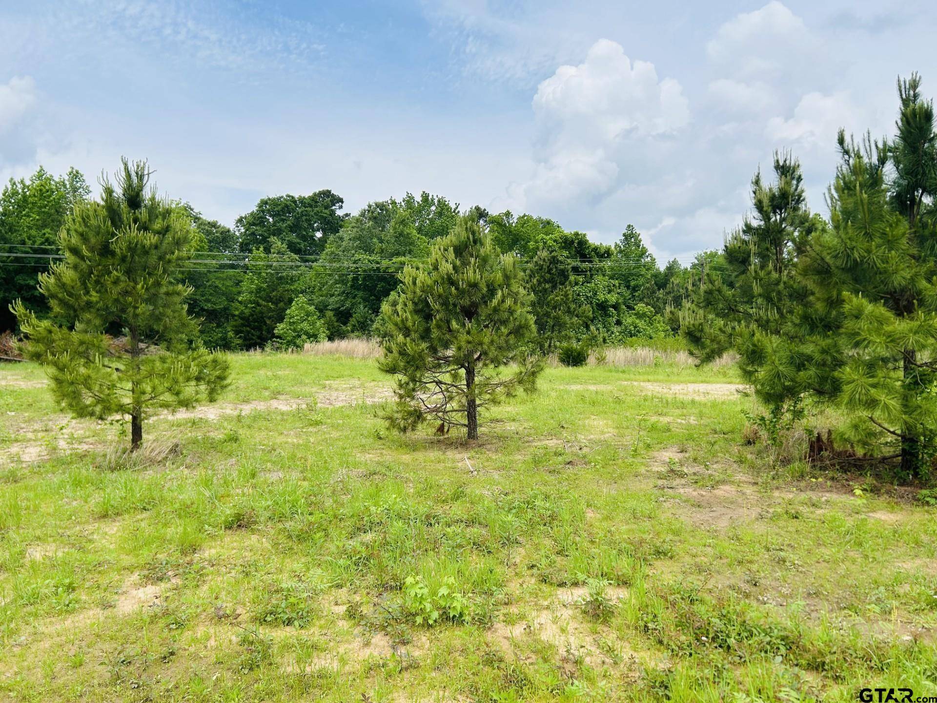 Pittsburg, TX 75686,5147 FM 556