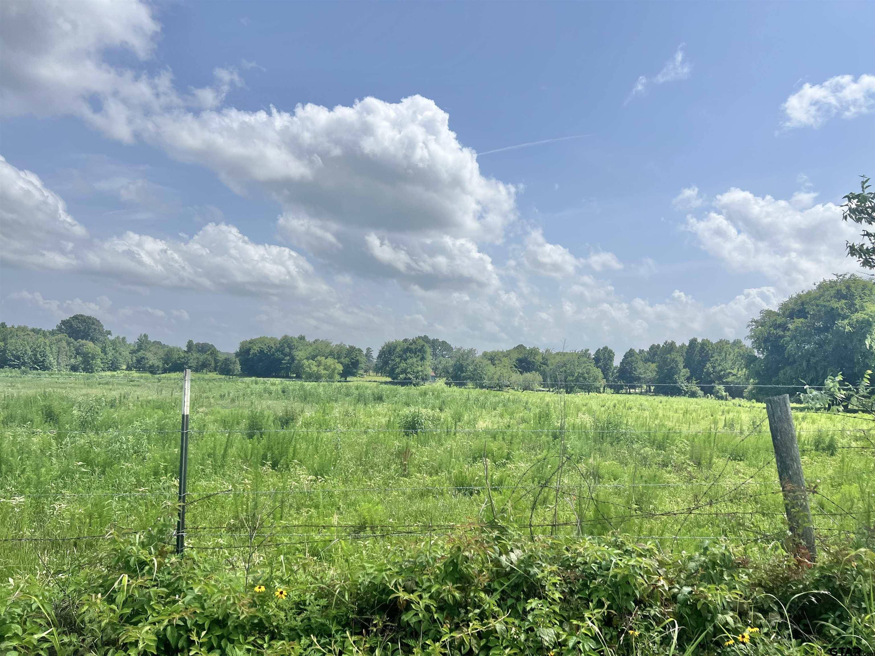 Mt Pleasant, TX 75455,TBD CR 1660