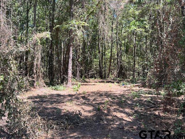 Pittsburg, TX 75686,TBD CR 3322 FM 1519