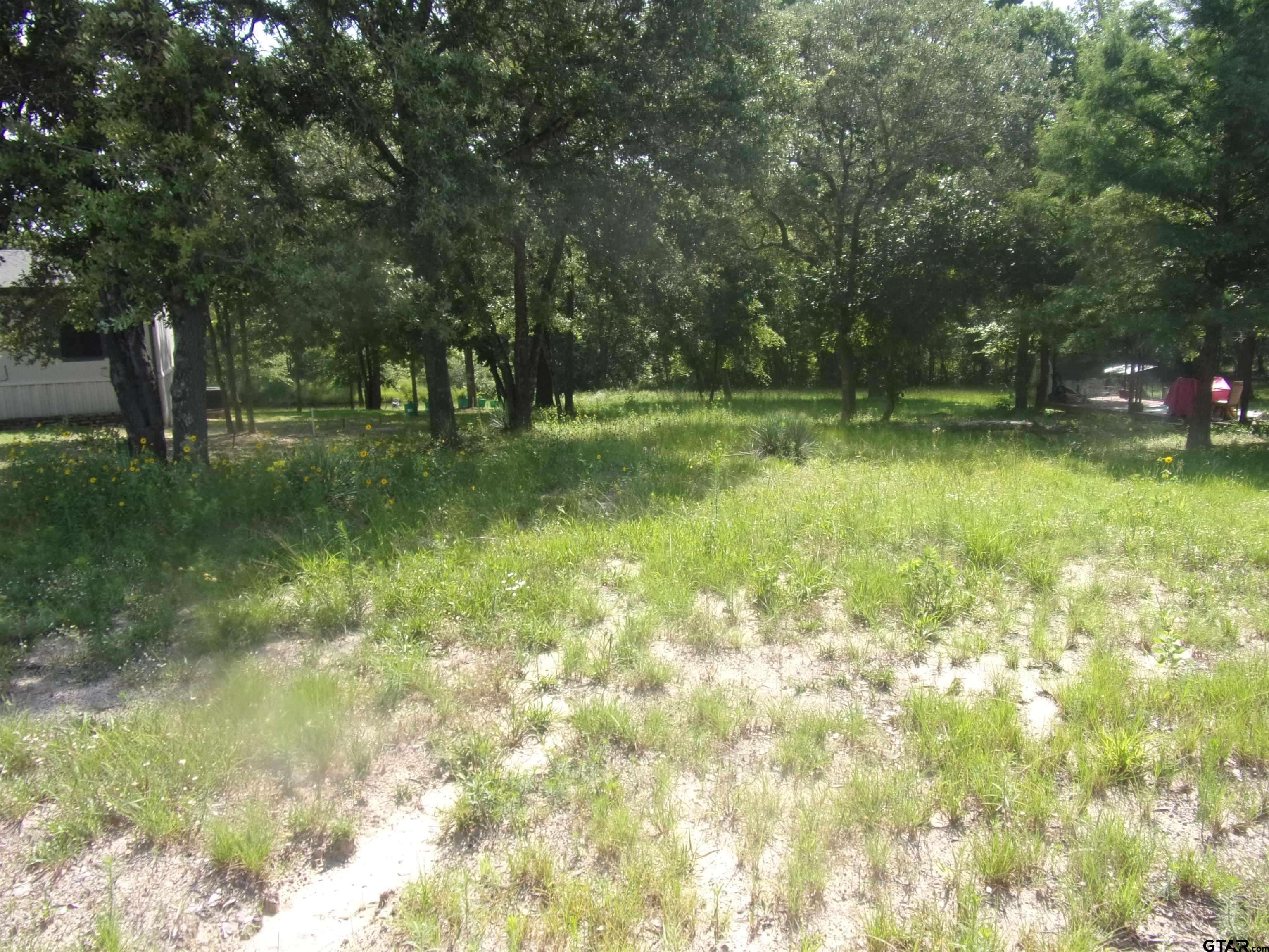 Murchison, TX 75778,tbd Mesquite Lane