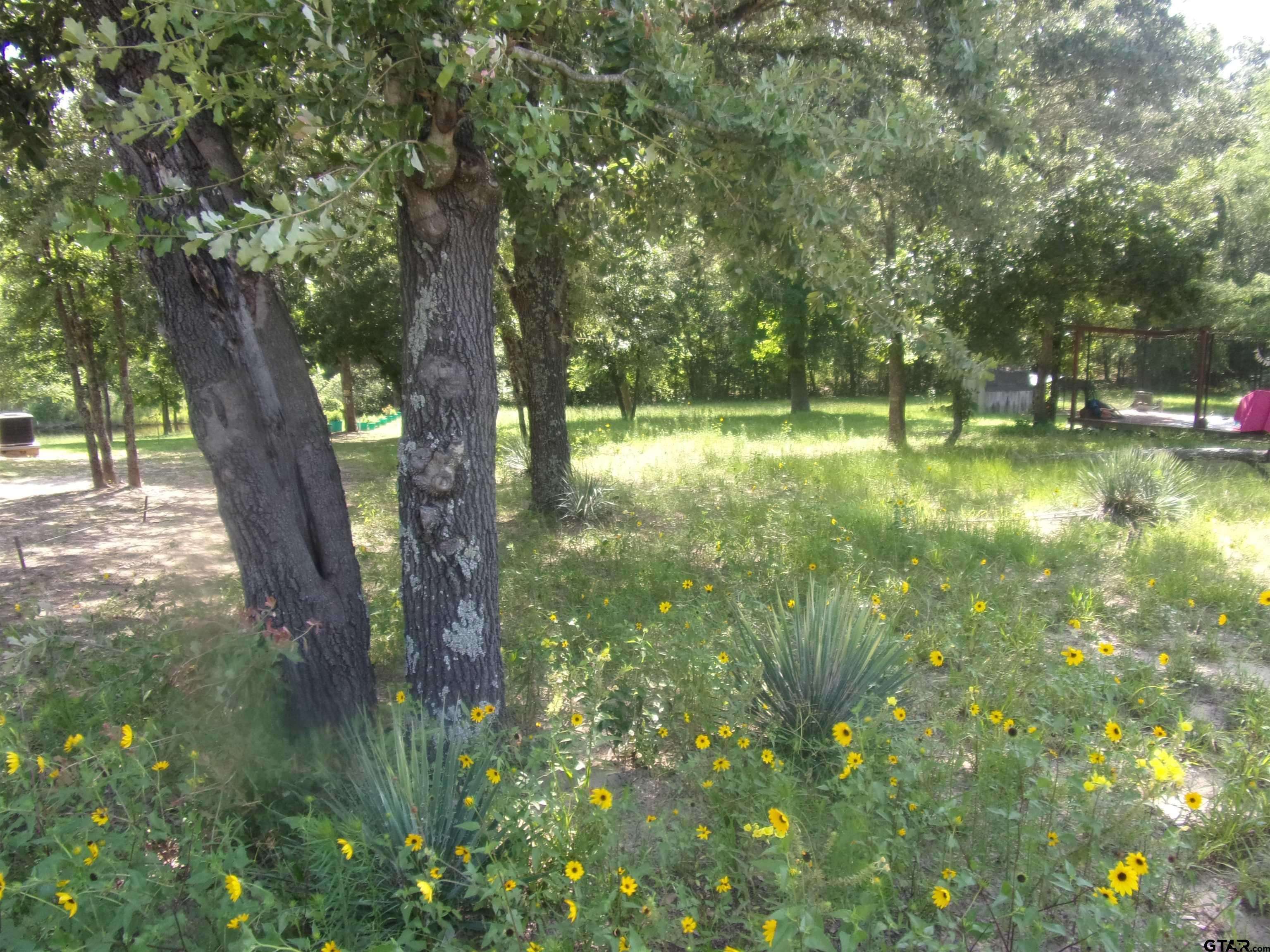 Murchison, TX 75778,tbd Mesquite Lane