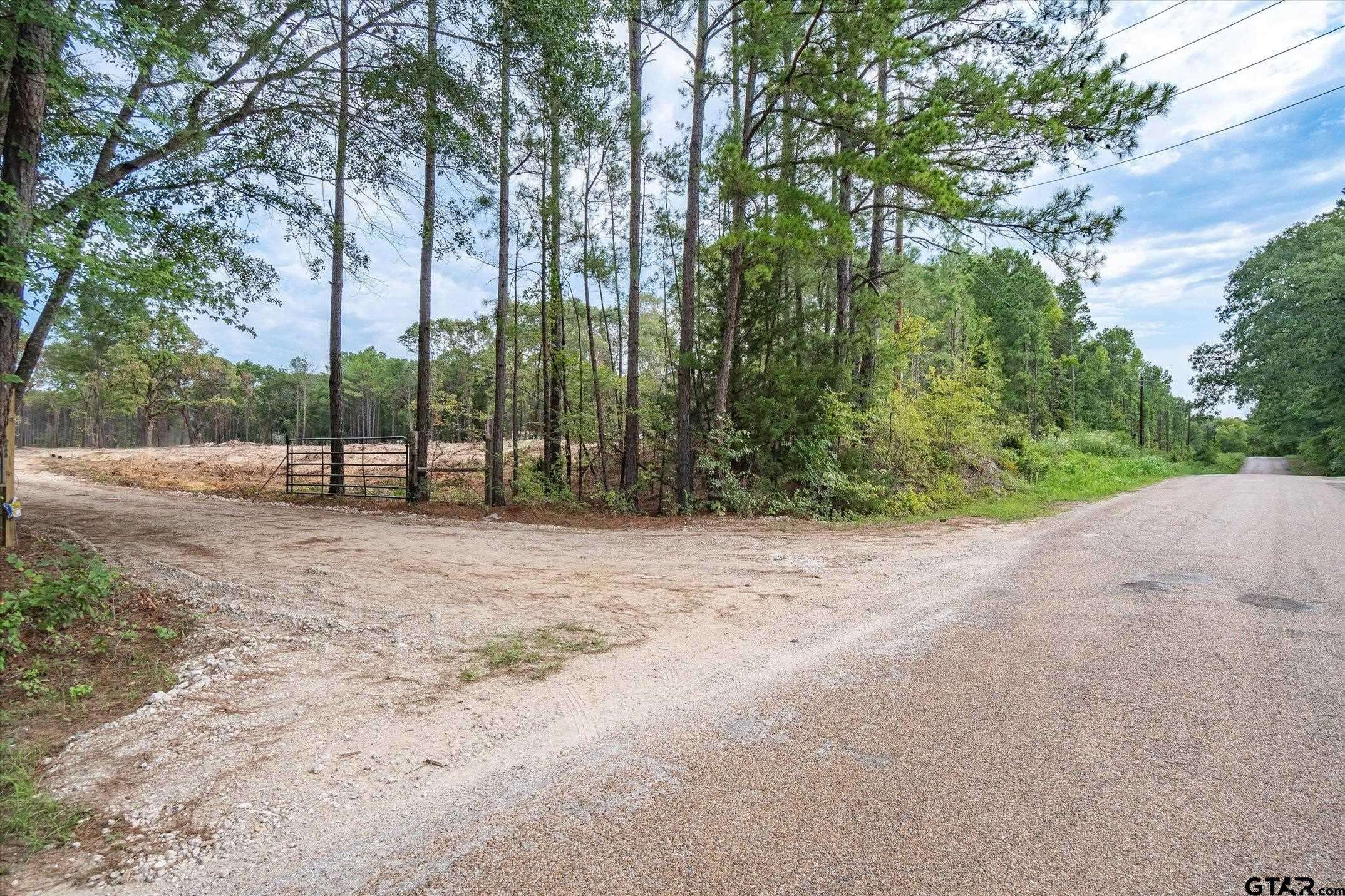Larue, TX 75770,Tract 3 - TBD County Road 4307