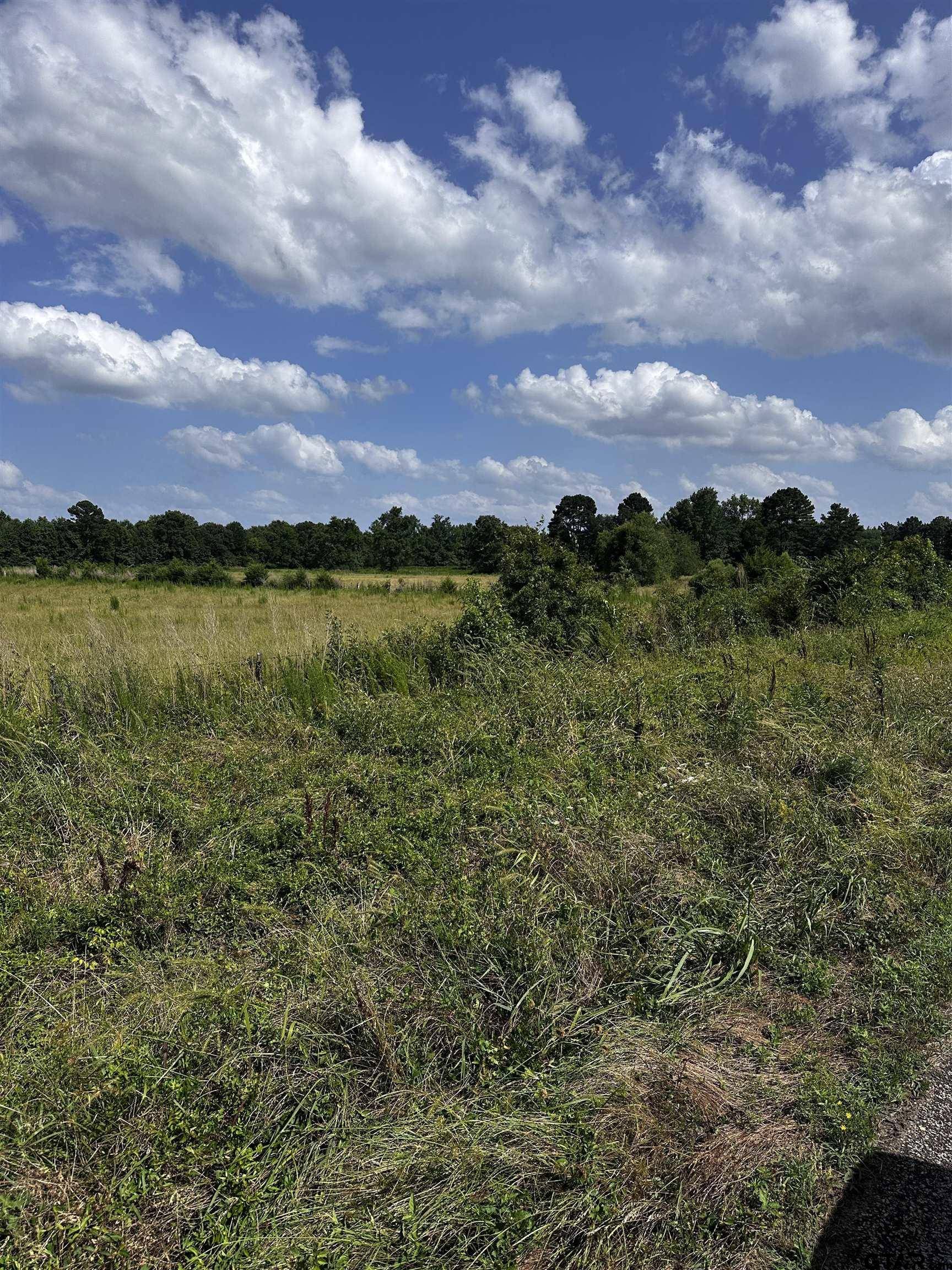 Daingerfield, TX 75638,001 FM 144