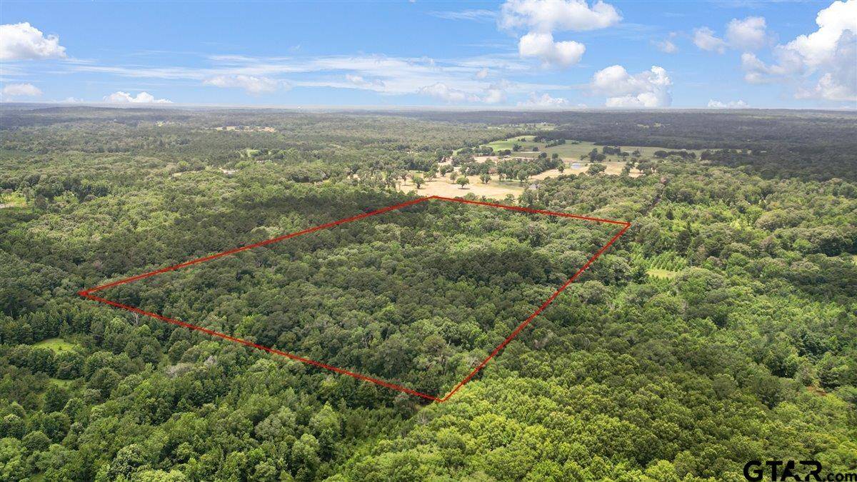 Quitman, TX 75783,TBD CR 3289