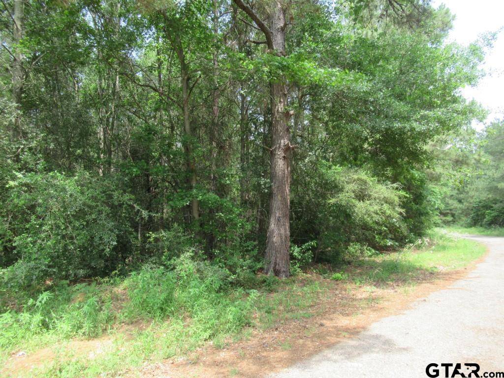 Palestine, TX 75803,3.54 AC CR 352