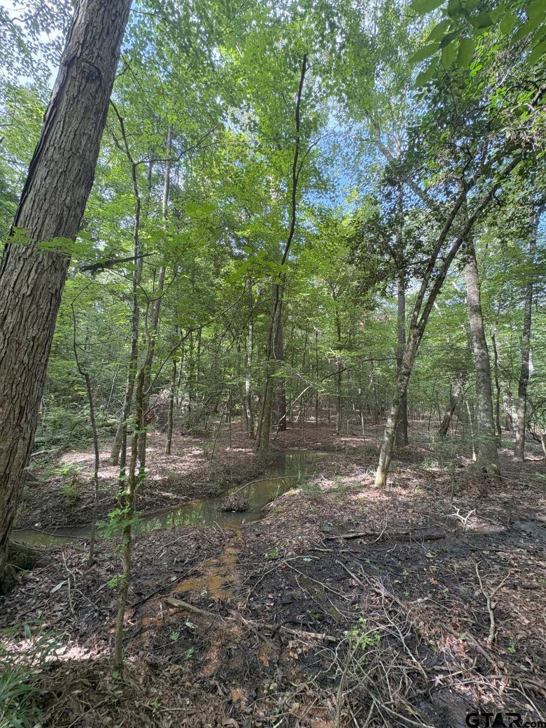 Carthage, TX 75633,TBD FM 3359