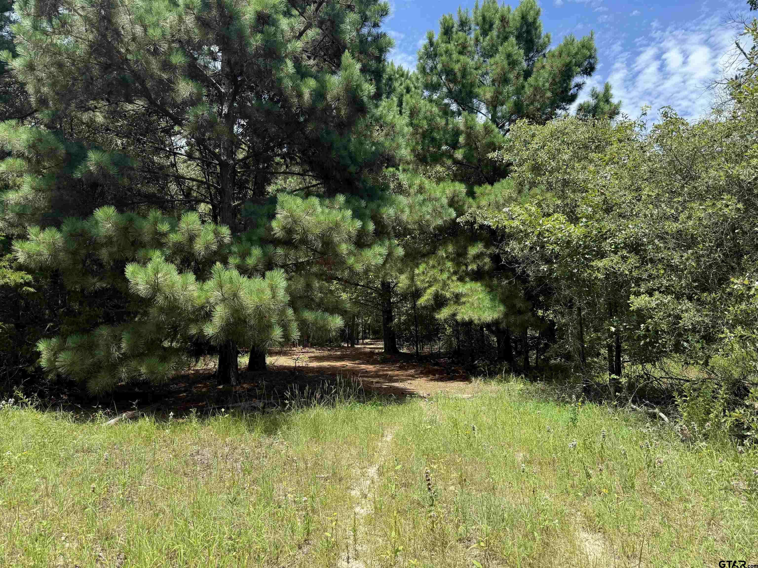 Quitman, TX 75783,2008 Cr 3230