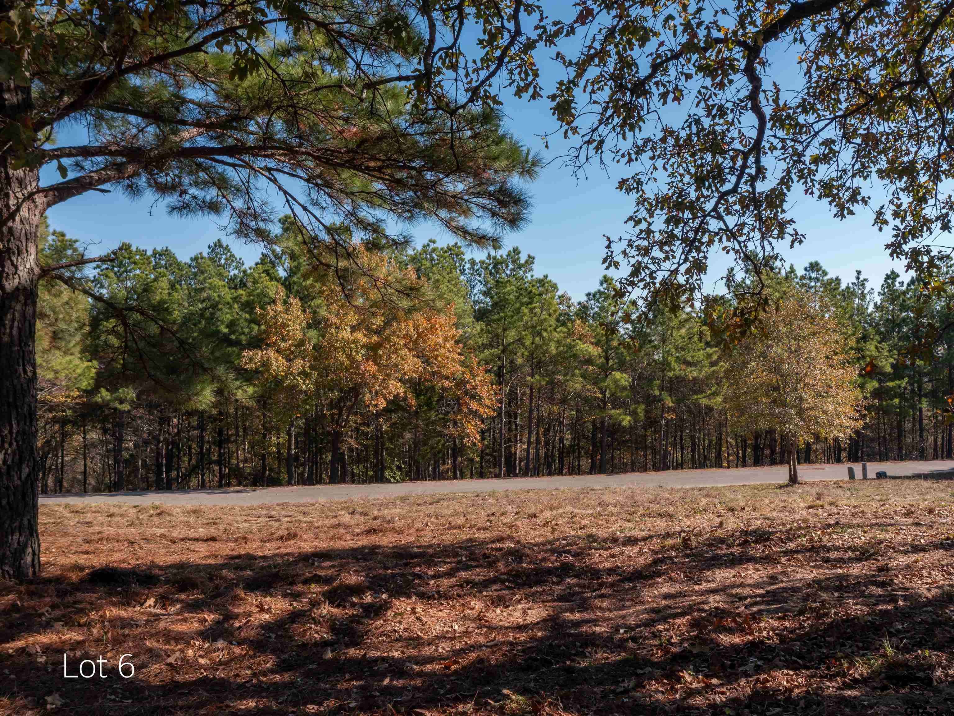 Brownsboro, TX 75756,Lot 6 Skyline Dr