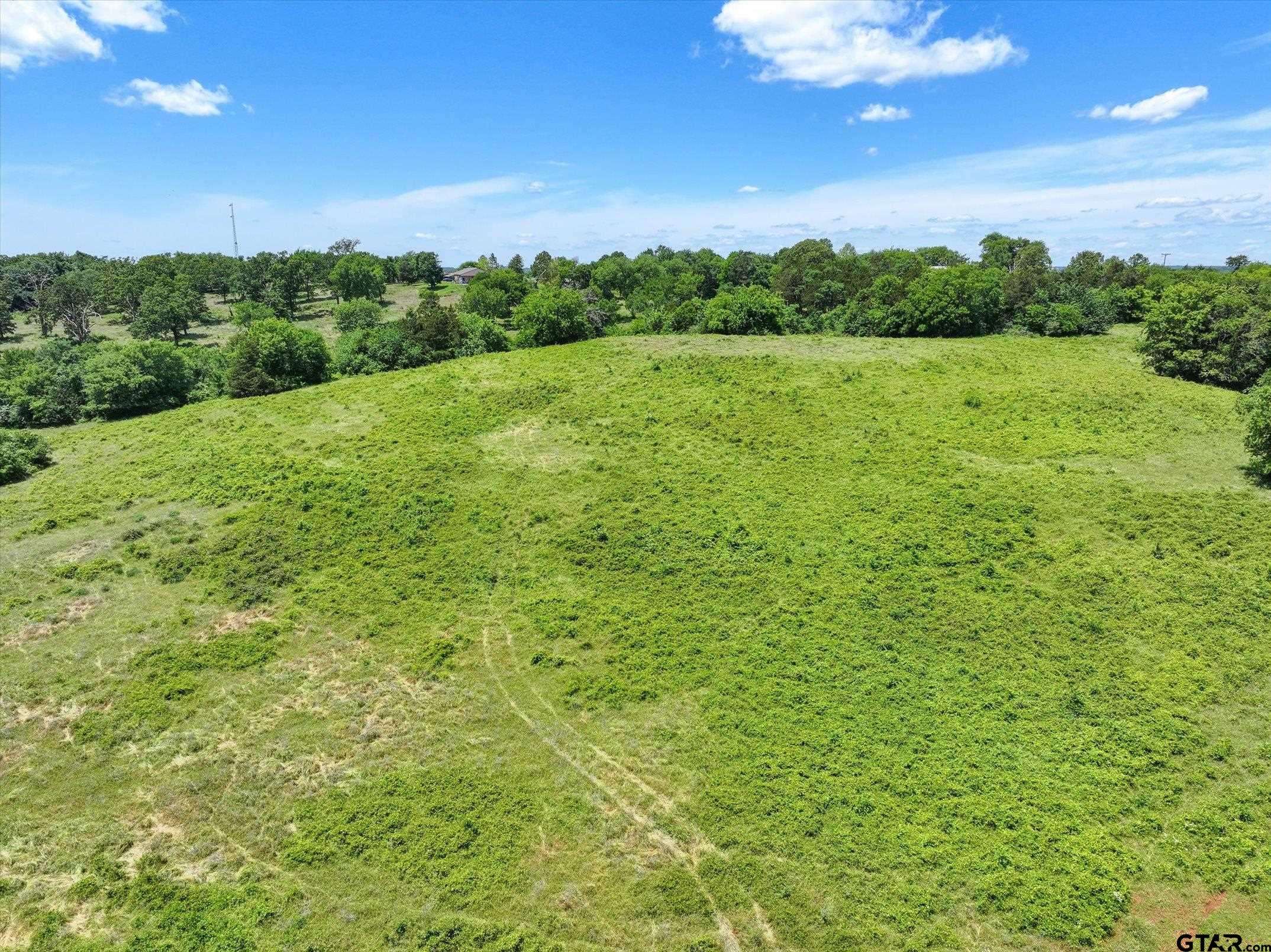 Bullard, TX 75757,TBD CR 2493