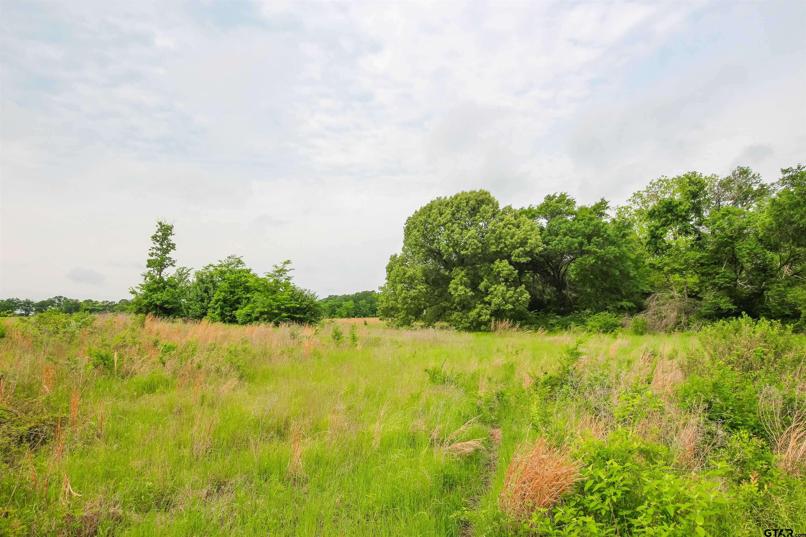 Wills Point, TX 75169,TBD VZ CR 2150