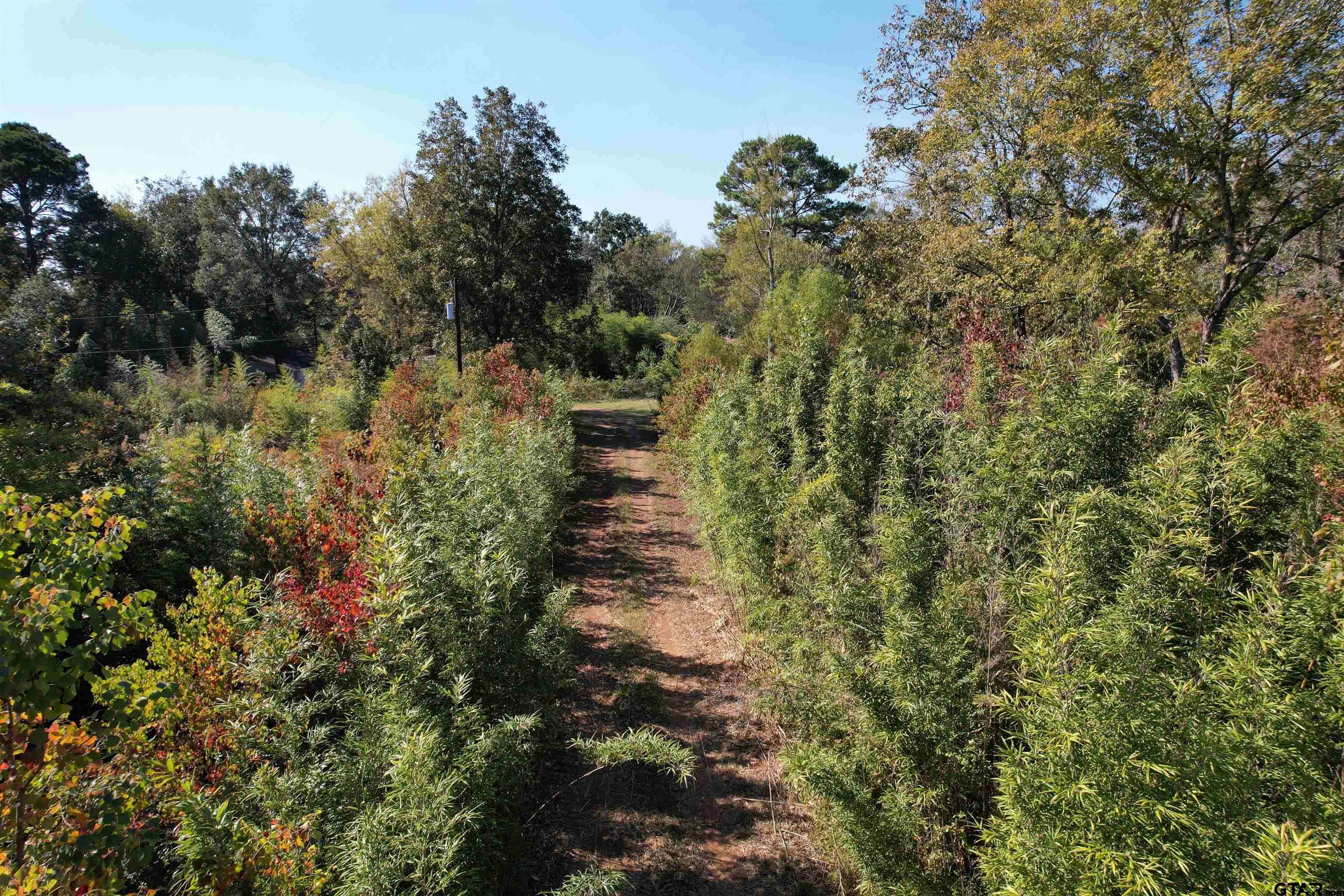 Huntington, TX 75949,456 Marshall Ivy Rd