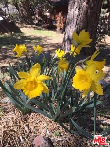 Pine Mountain Club, CA 93222,1320 Zermatt CT