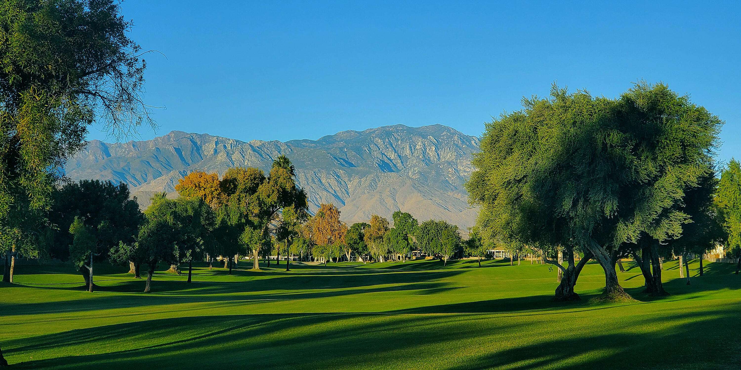 Palm Desert, CA 92260,73450 Country Club #135