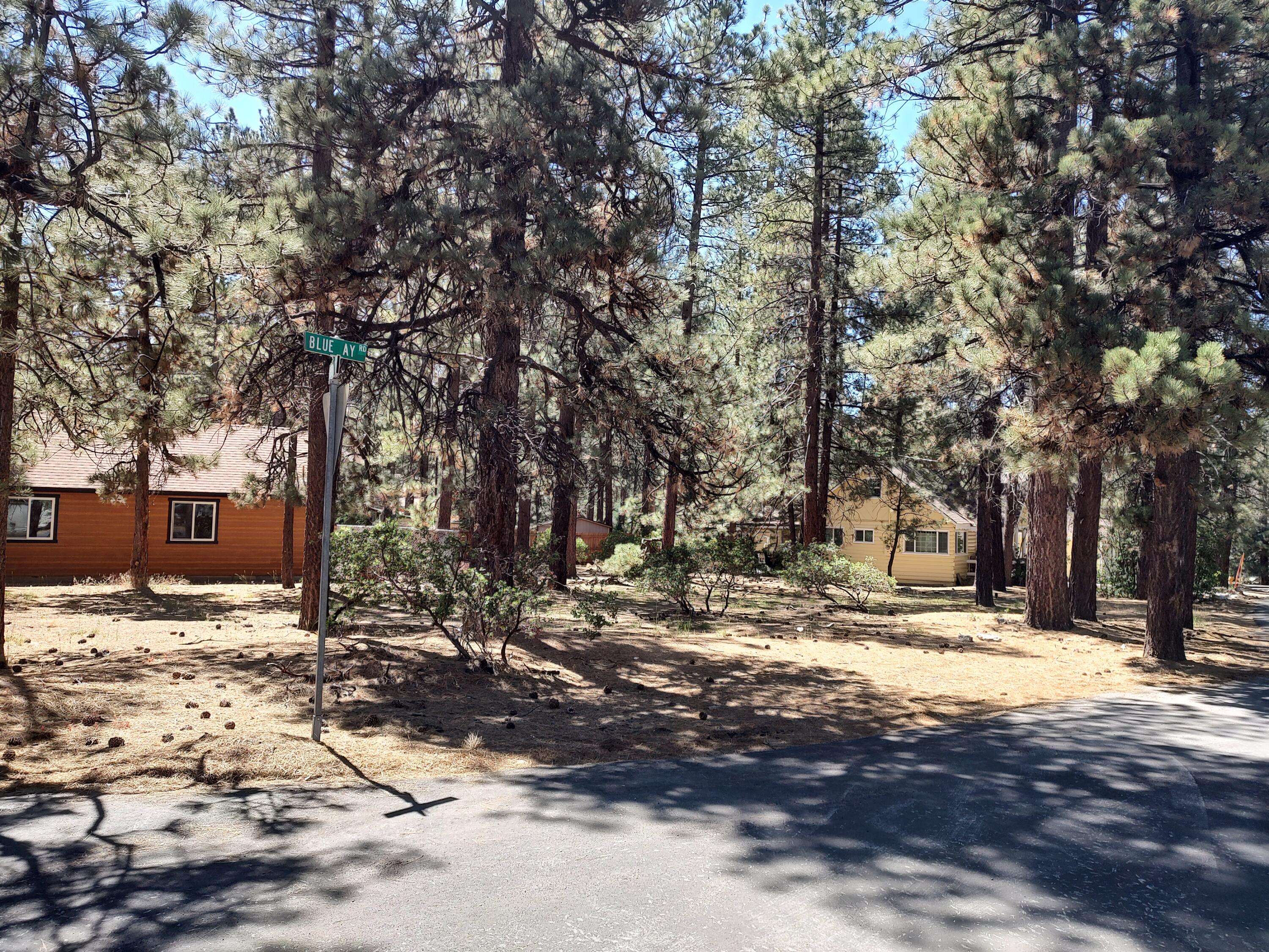 Big Bear Lake, CA 92315,610 Blue Jay RD