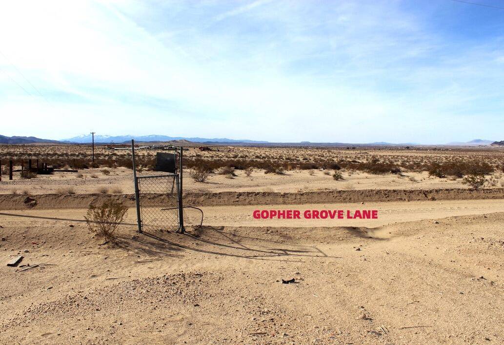 Twenty-nine Palms, CA 92277,0 Gopher Grove RD