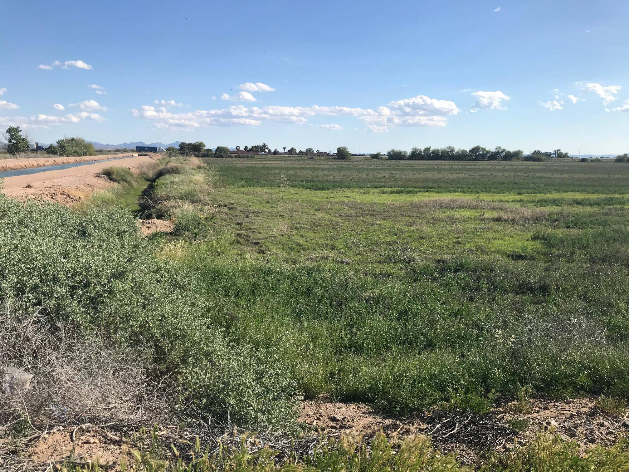 Blythe, CA 92225,0 Acres On E Hobsonway