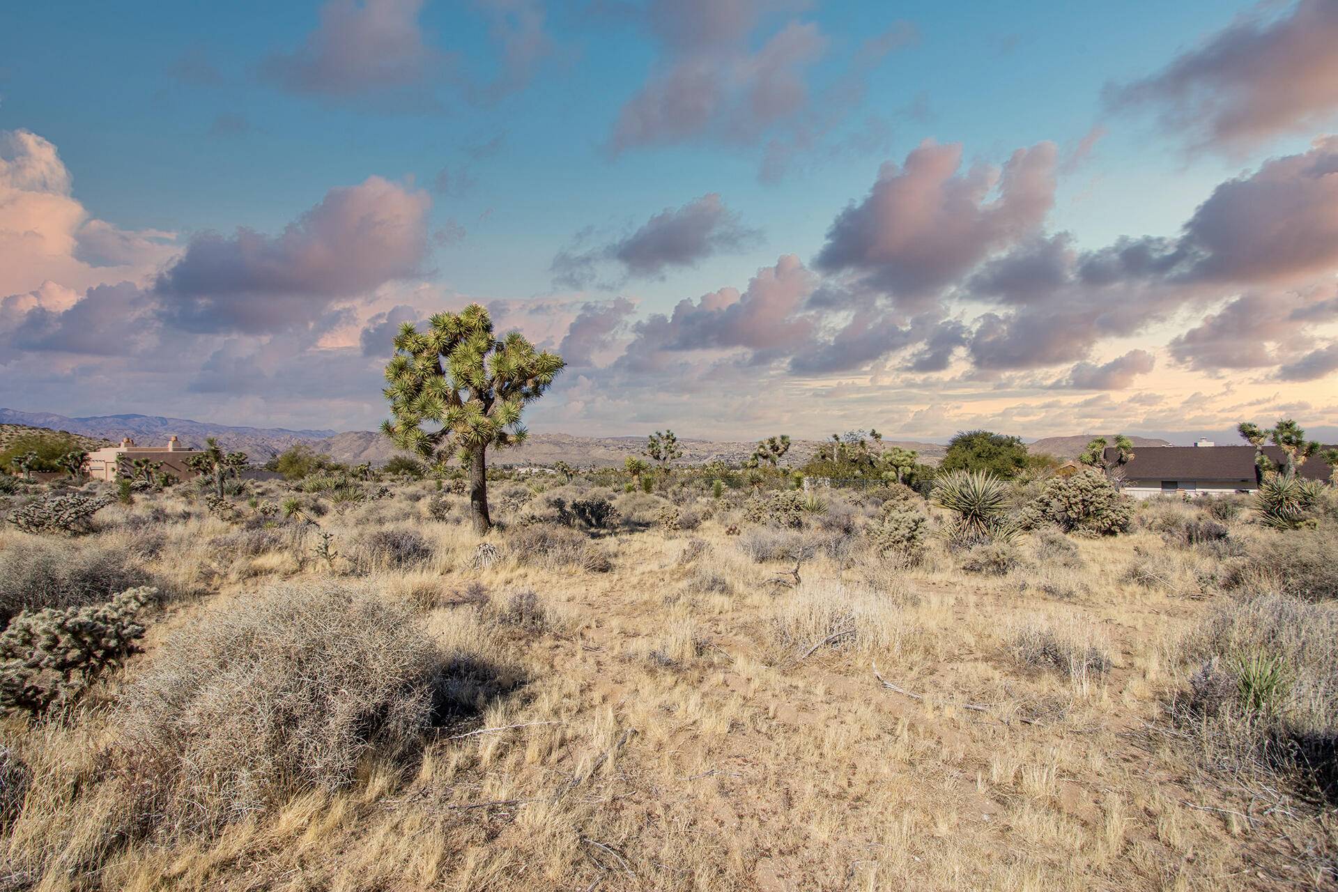 Yucca Valley, CA 92284,145 Palomar AVE