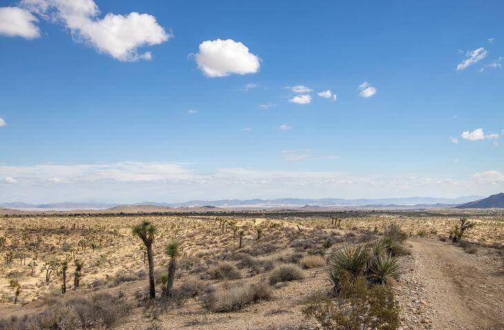 Yucca Valley, CA 92284,57352 Sunflower DR