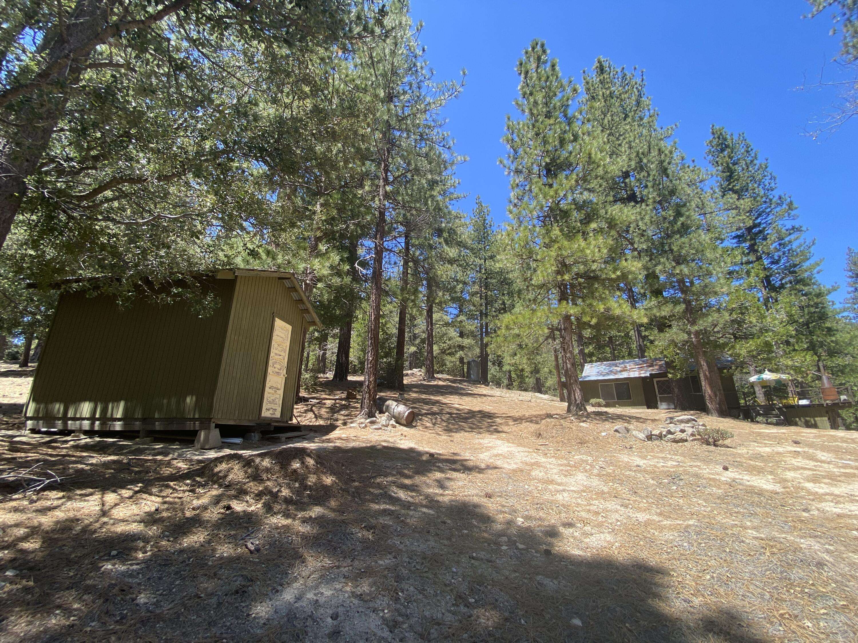 Idyllwild, CA 92549,52650 4s02 Azalea TRL