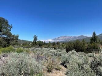 Mountain Center, CA 92561,0 Devils Ladder RD