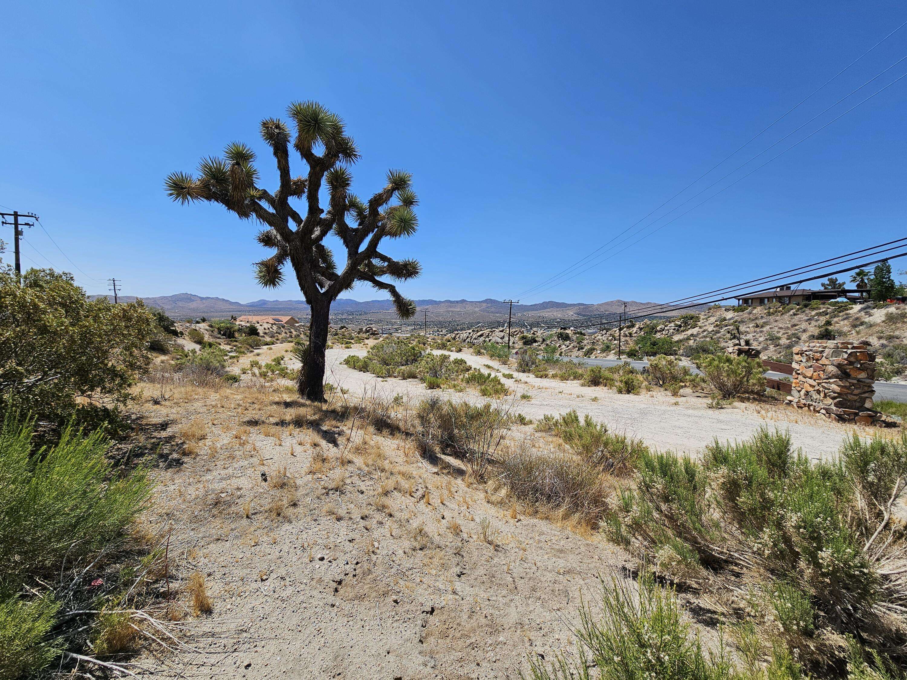 Yucca Valley, CA 92284,0 Buena Suerte RD