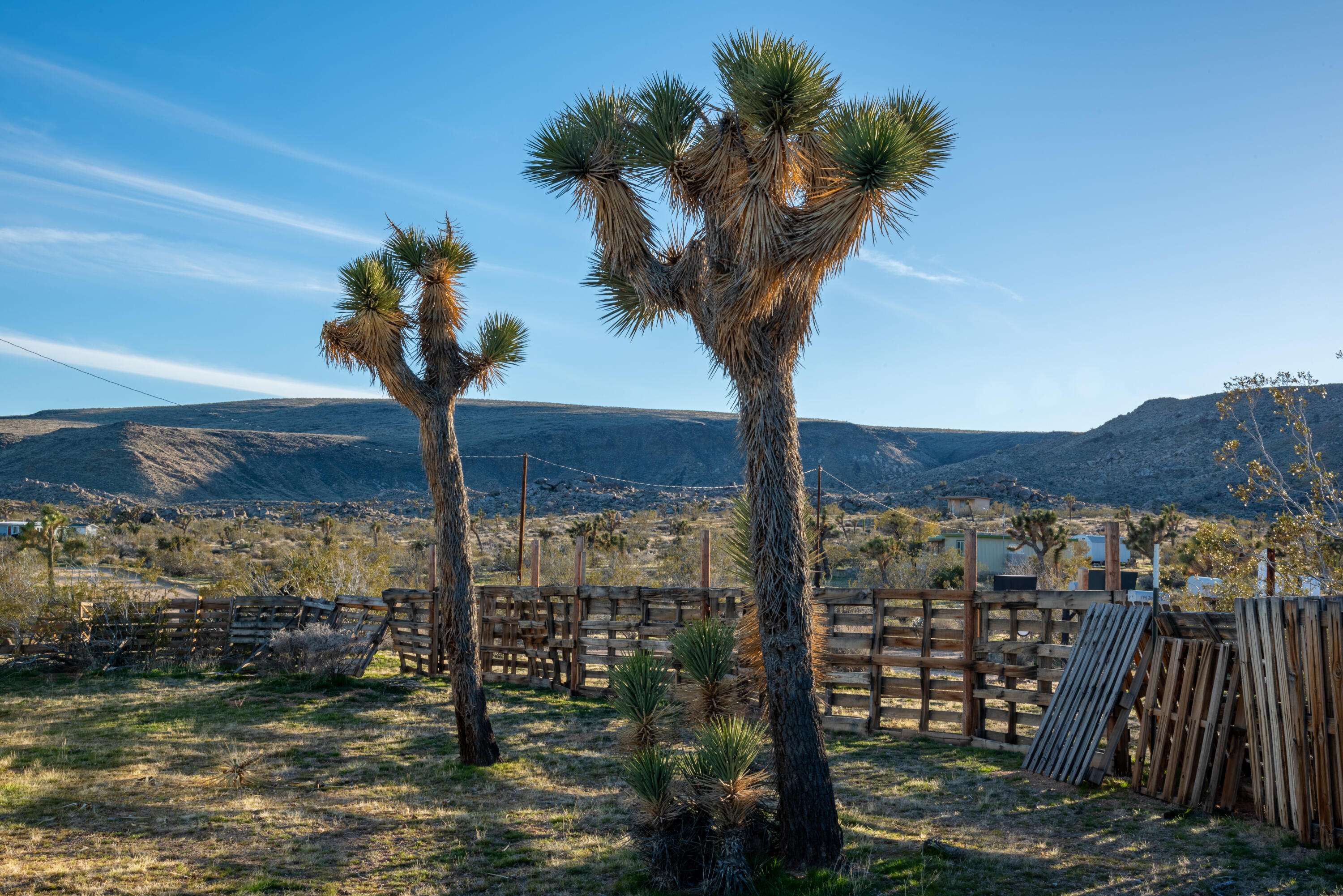 Yucca Valley, CA 92284,4 Jemez TRL