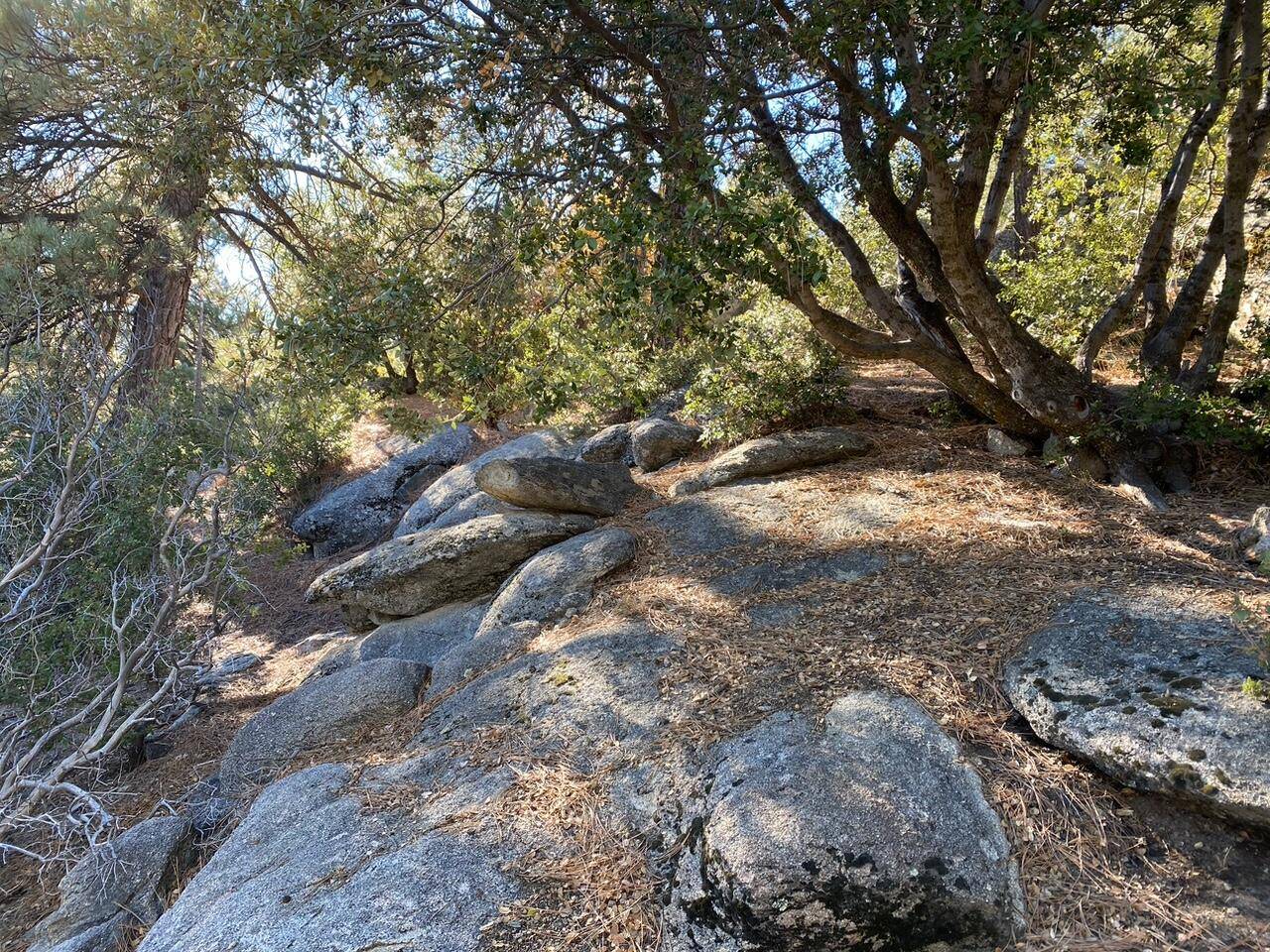 Idyllwild, CA 92549,0 Lakeview DR