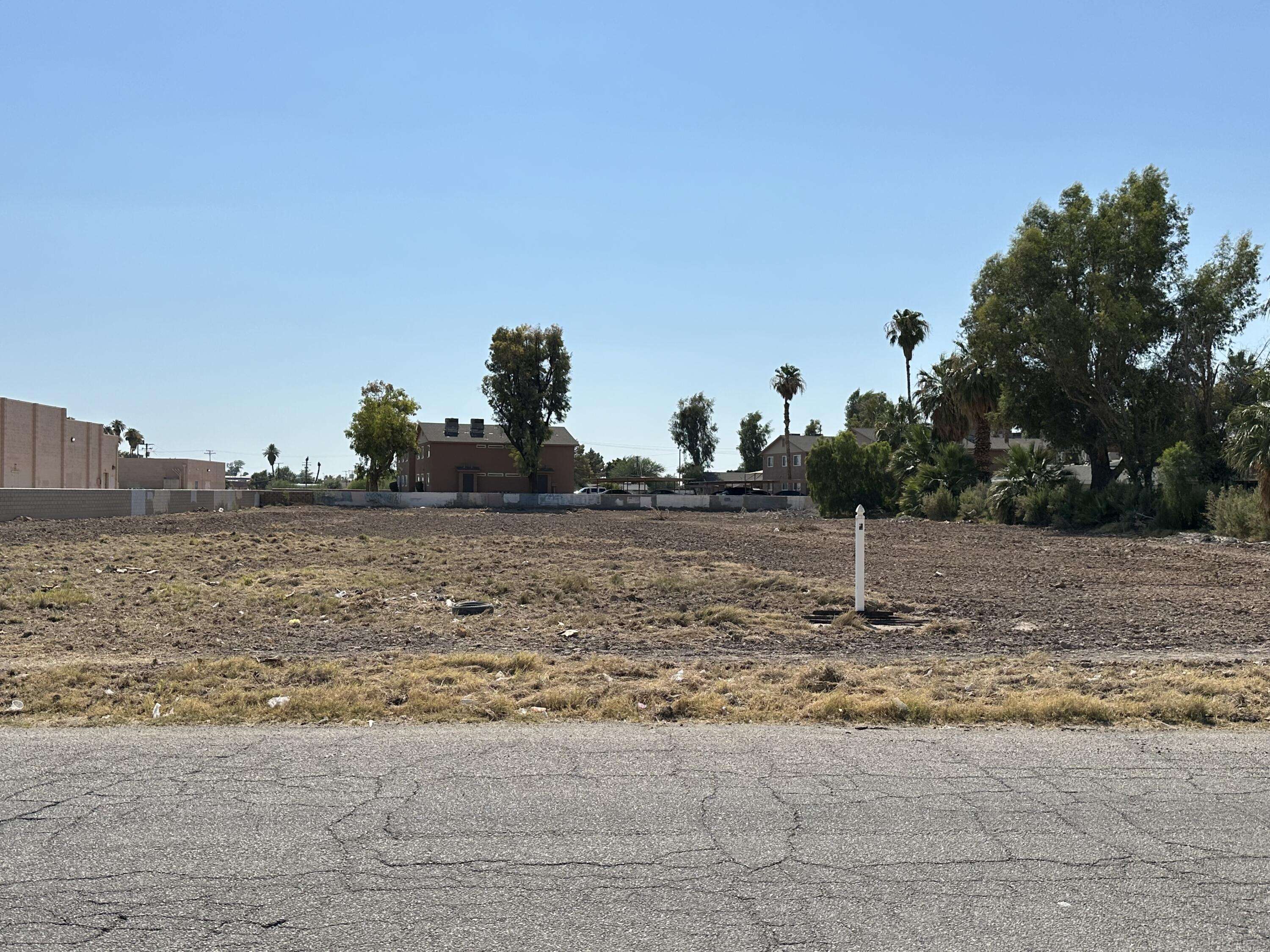 Blythe, CA 92225,0 Palm