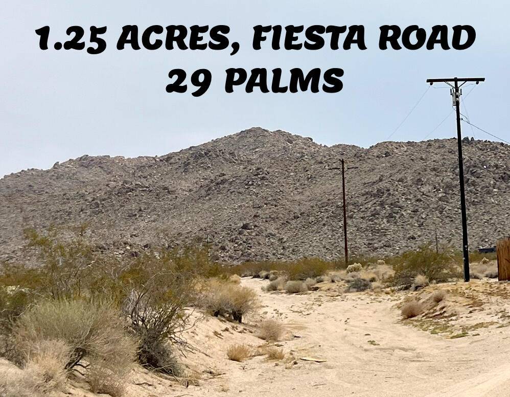 Twenty-nine Palms, CA 92277,0 Fiesta RD