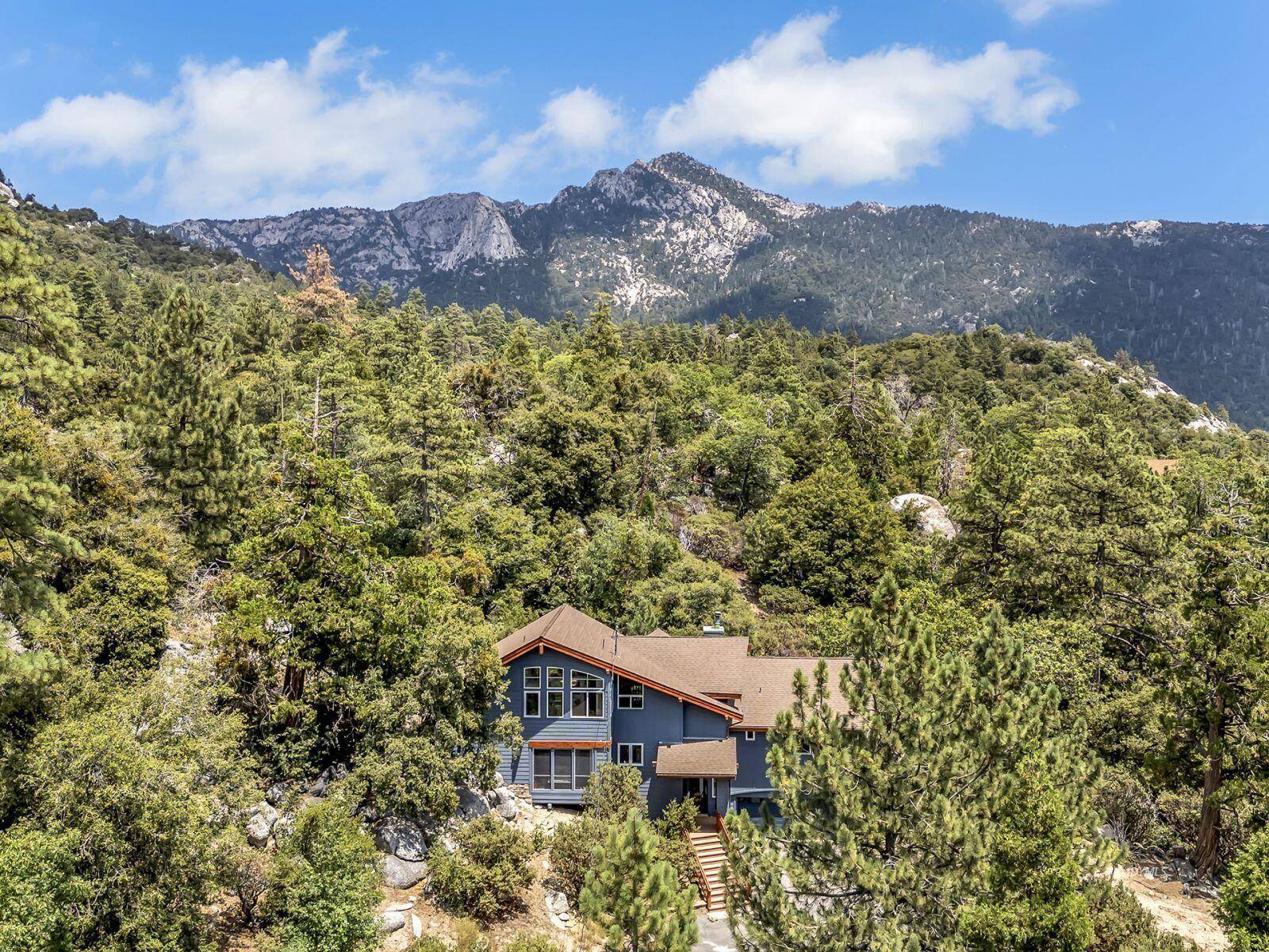 Idyllwild, CA 92549,54002 Northridge DR