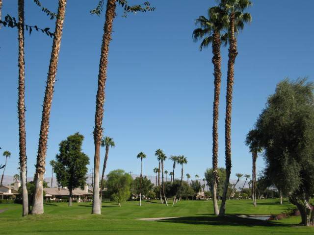 Palm Desert, CA 92260,144 Las Lomas