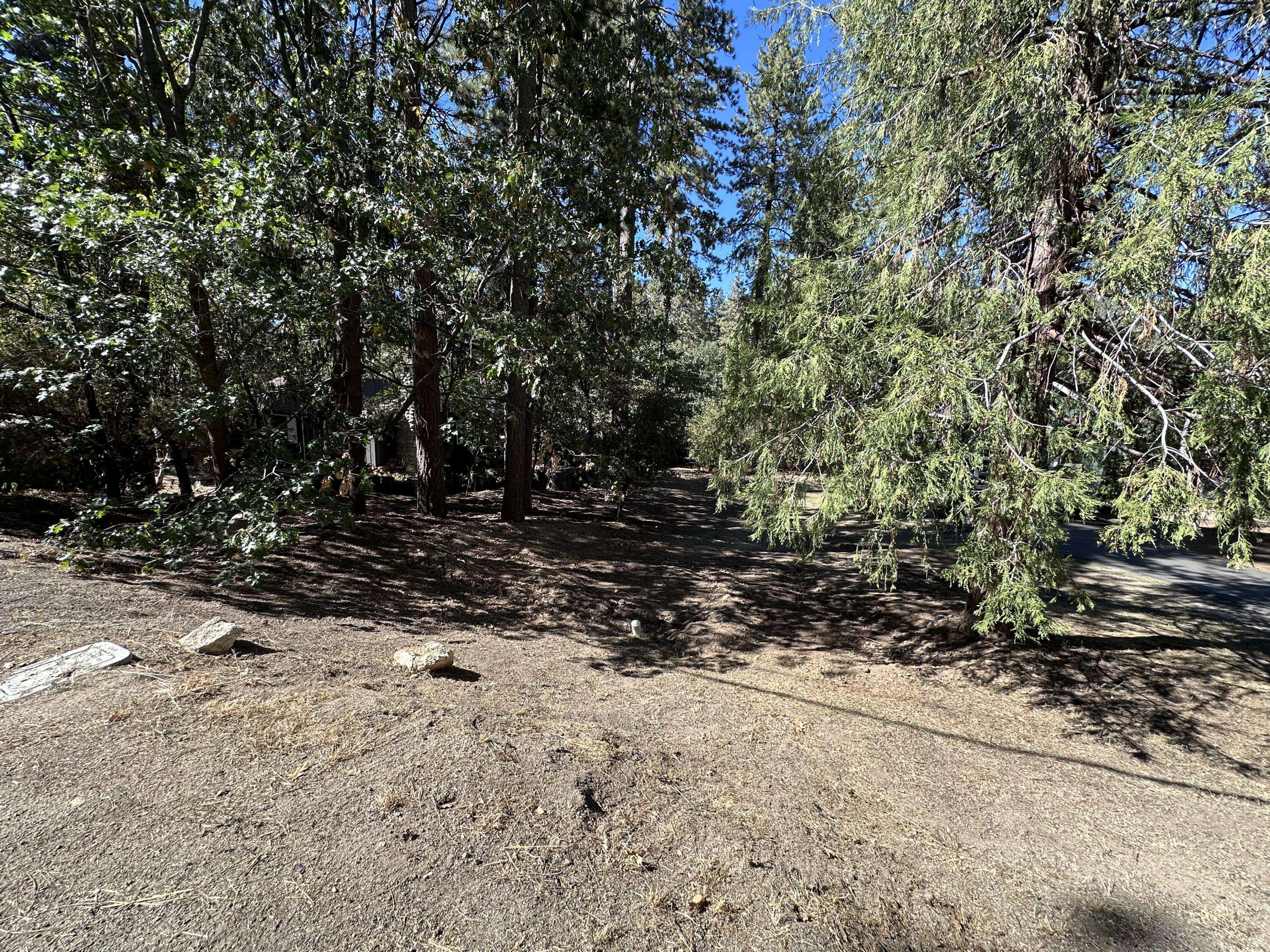 Idyllwild, CA 92549,0 Country Club DR