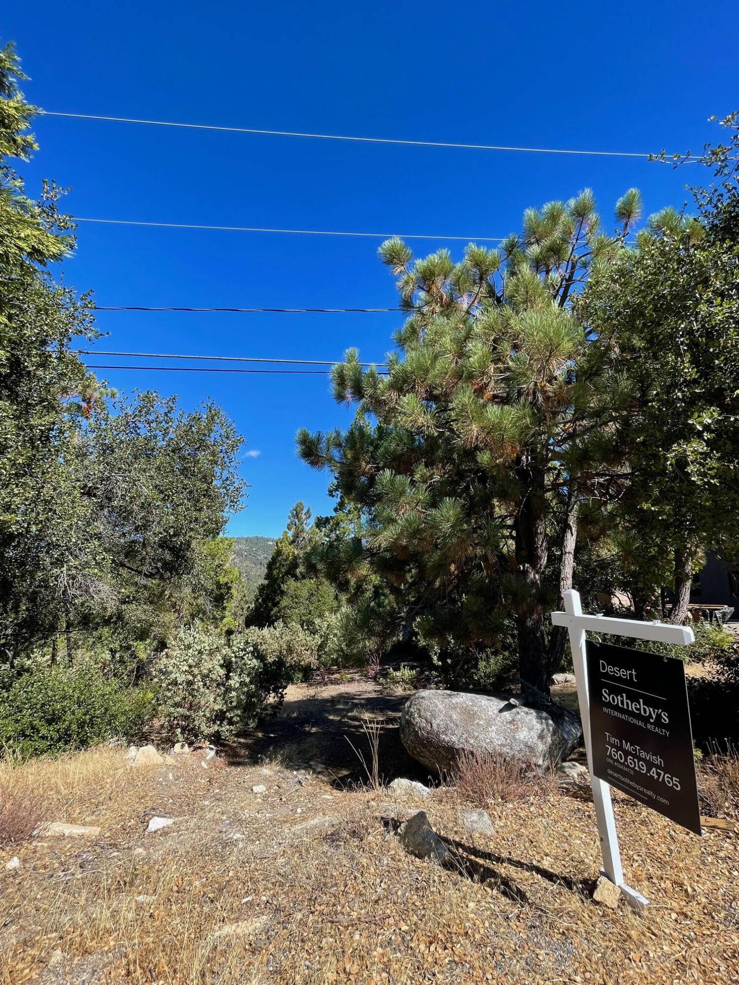 Idyllwild, CA 92549,0 Double View DR