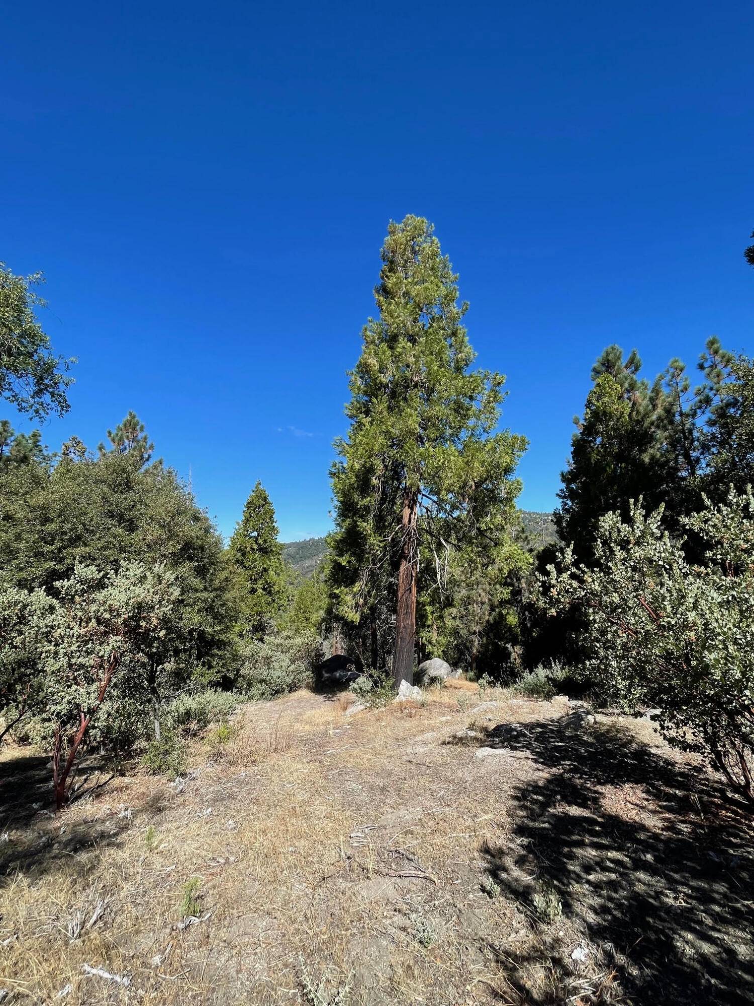 Idyllwild, CA 92549,0 Double View DR