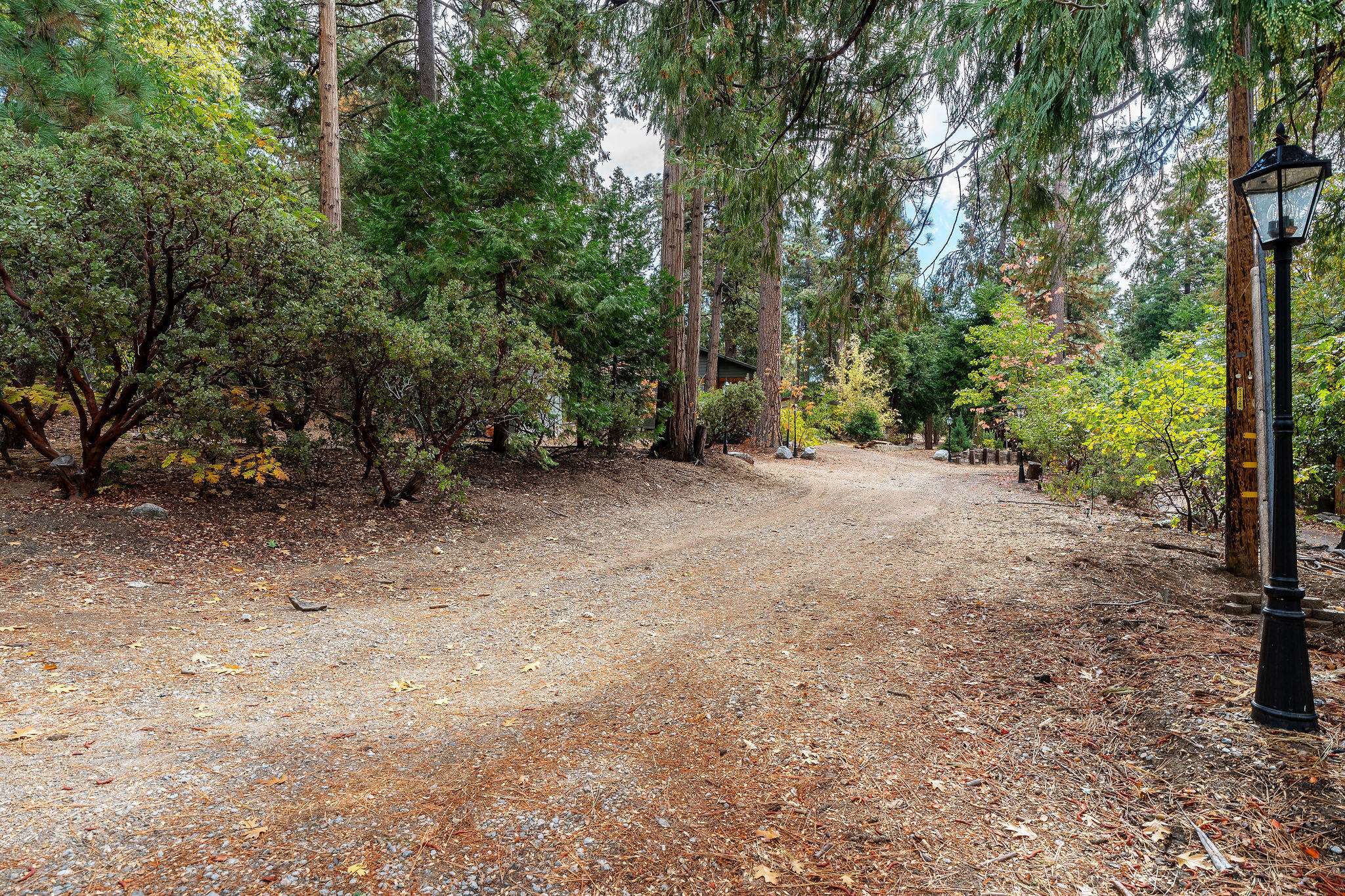 Idyllwild, CA 92549,52603 Laurel TRL