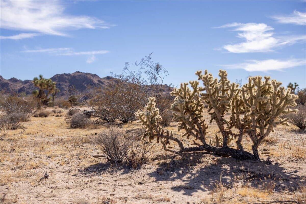 Yucca Valley, CA 92284,0 Olympic RD