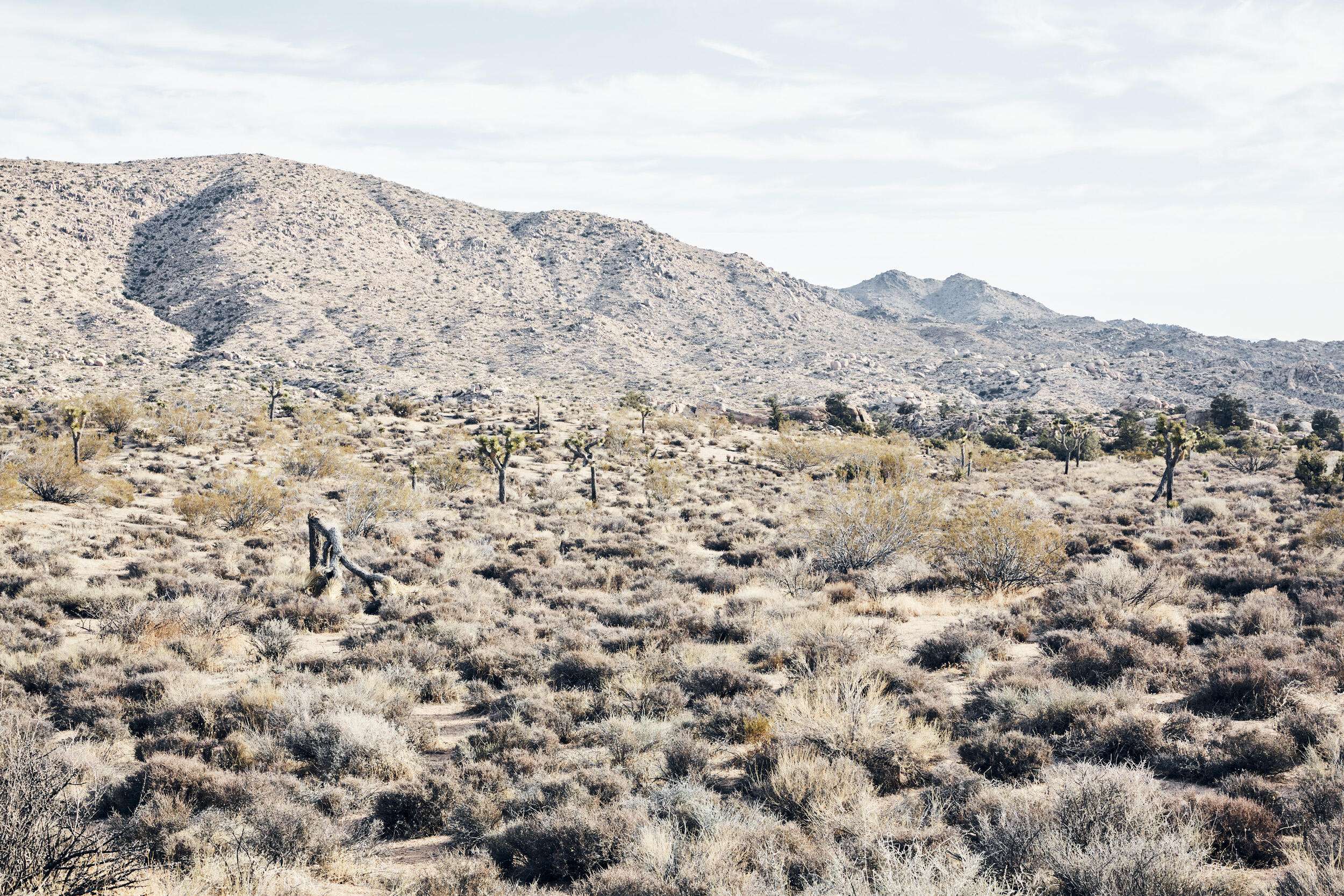 Pioneertown, CA 92268,0 Gilhouse LN