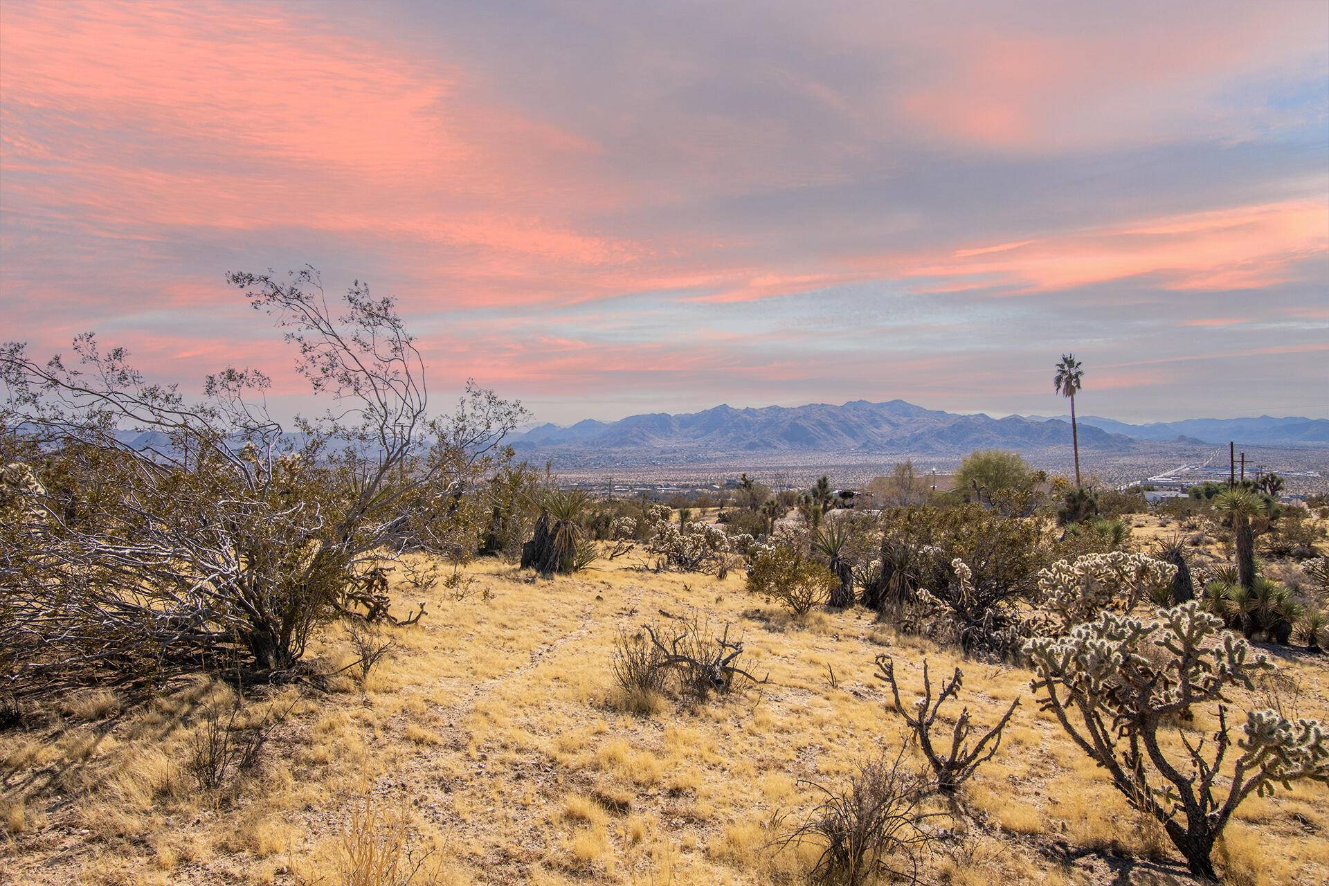 Yucca Valley, CA 92284,5610 Yucca Mesa RD