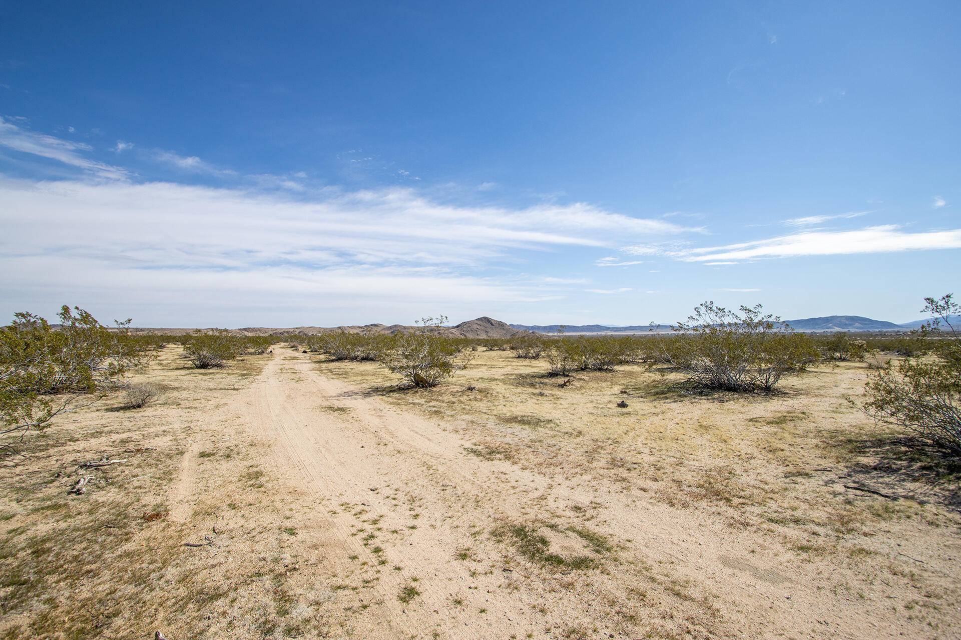 Joshua Tree, CA 92252,4605 Border AVE