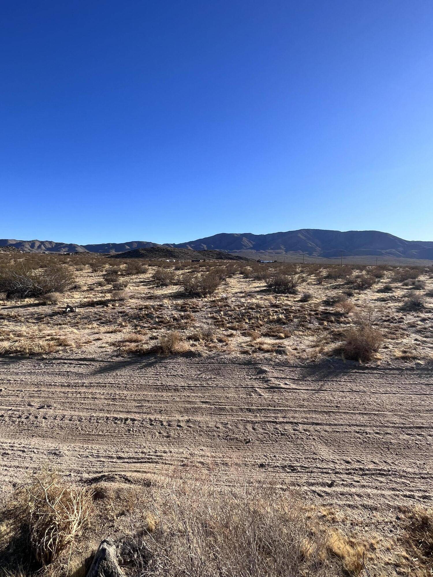 Johnson Valley, CA 92285,0 Datura TER