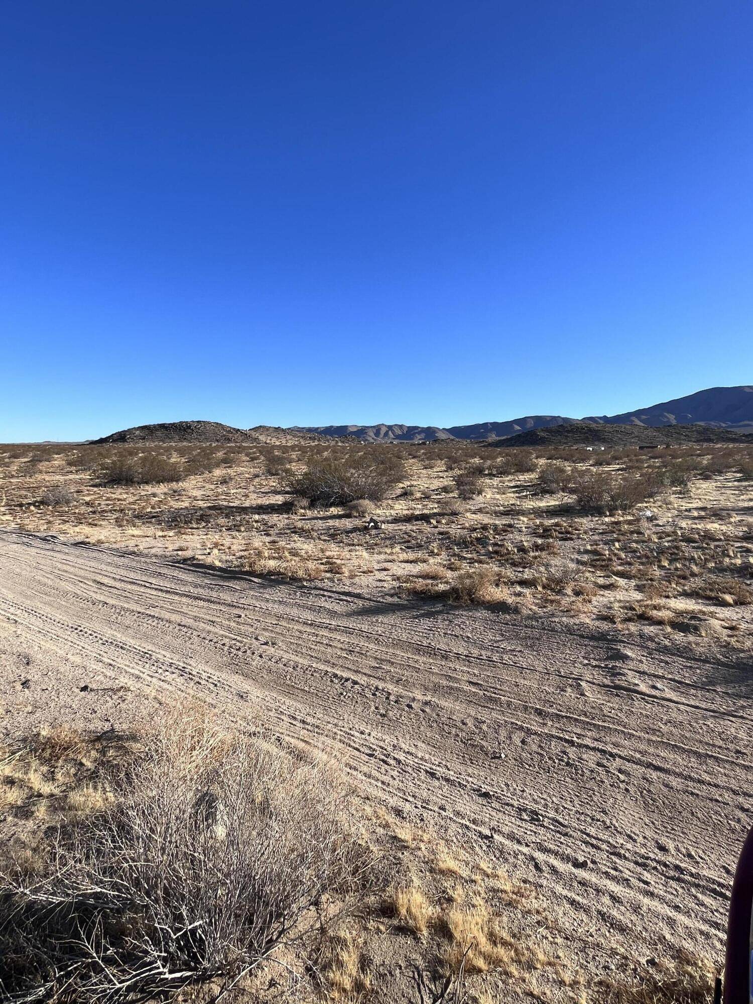 Johnson Valley, CA 92285,0 Datura TER